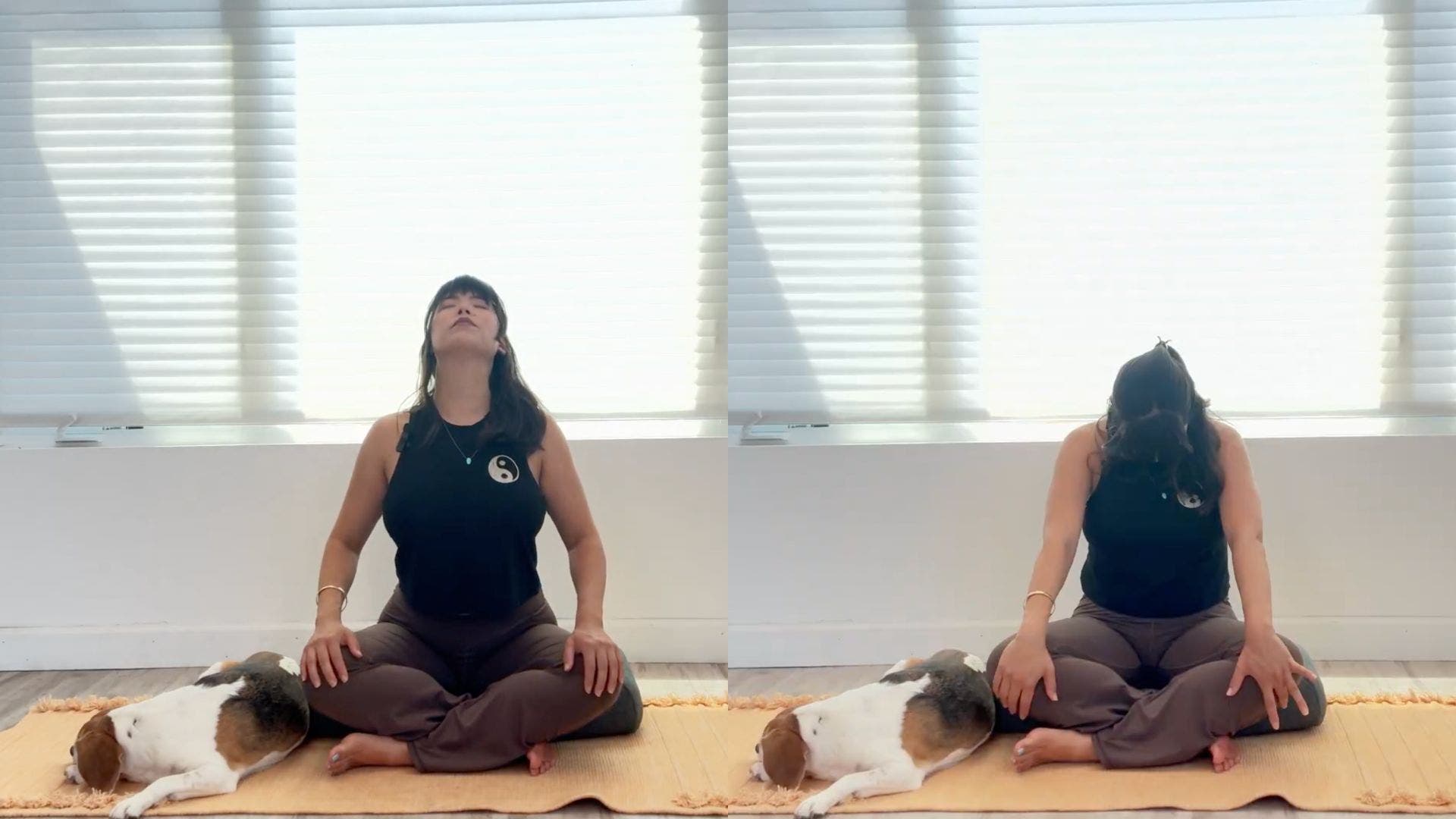 Woman practicing seated cat cow on yoga mat.