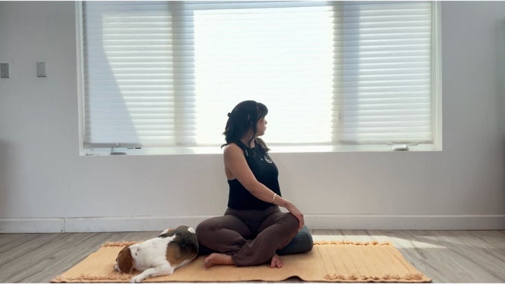 Seated twist