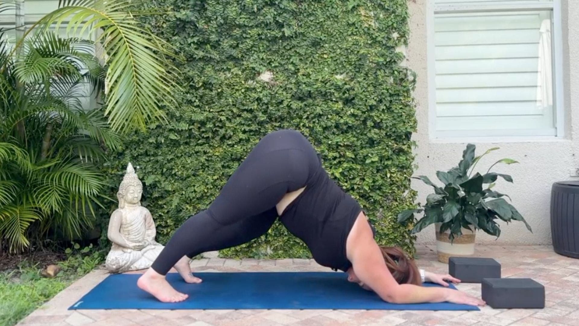 Dolphin pose