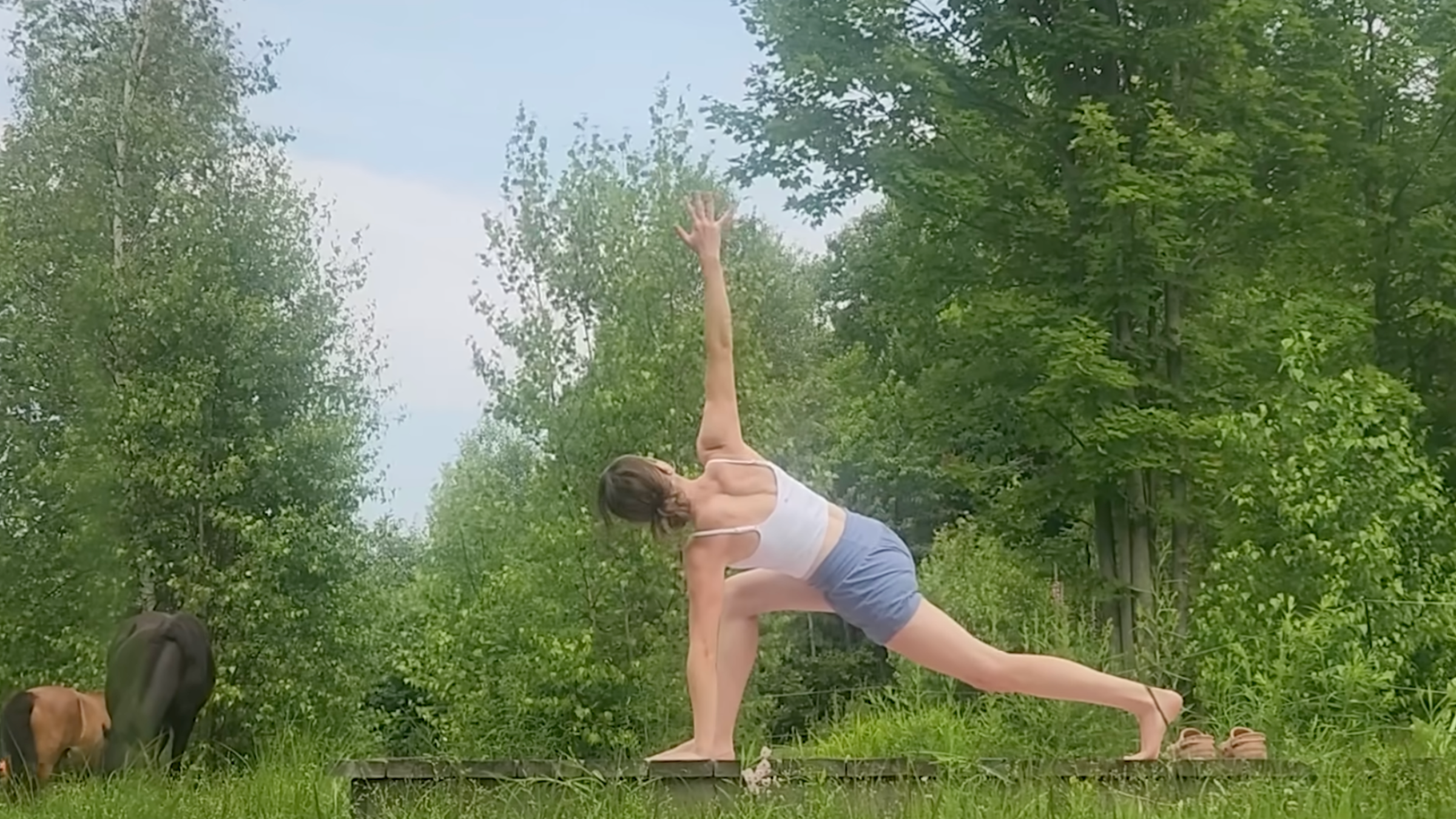 woman in revolved lunge yoga pose on wooden platform outside in front of trees and horse