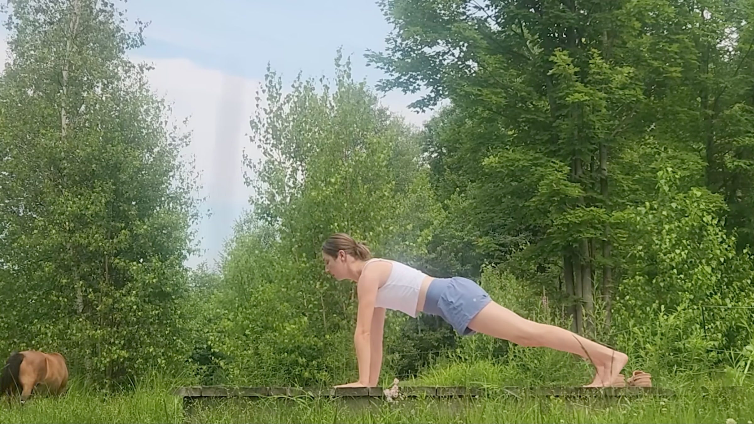 woman in plank pose on wooden platform outside in front of trees and horse
