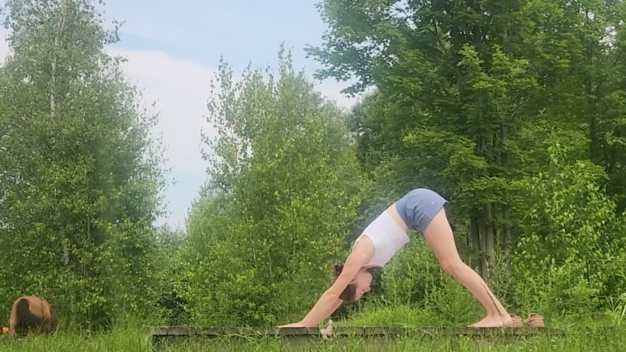 woman in downward-facing dog pose on wooden platform outside in front of horse and trees