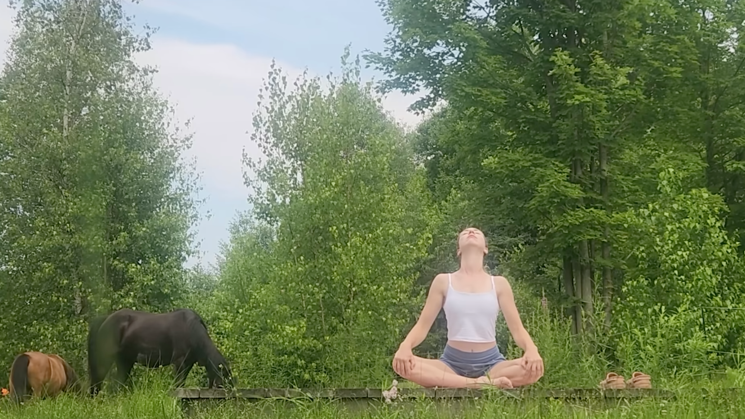 woman in seated cow yoga pose on wooden platform outside in front of trees and horses