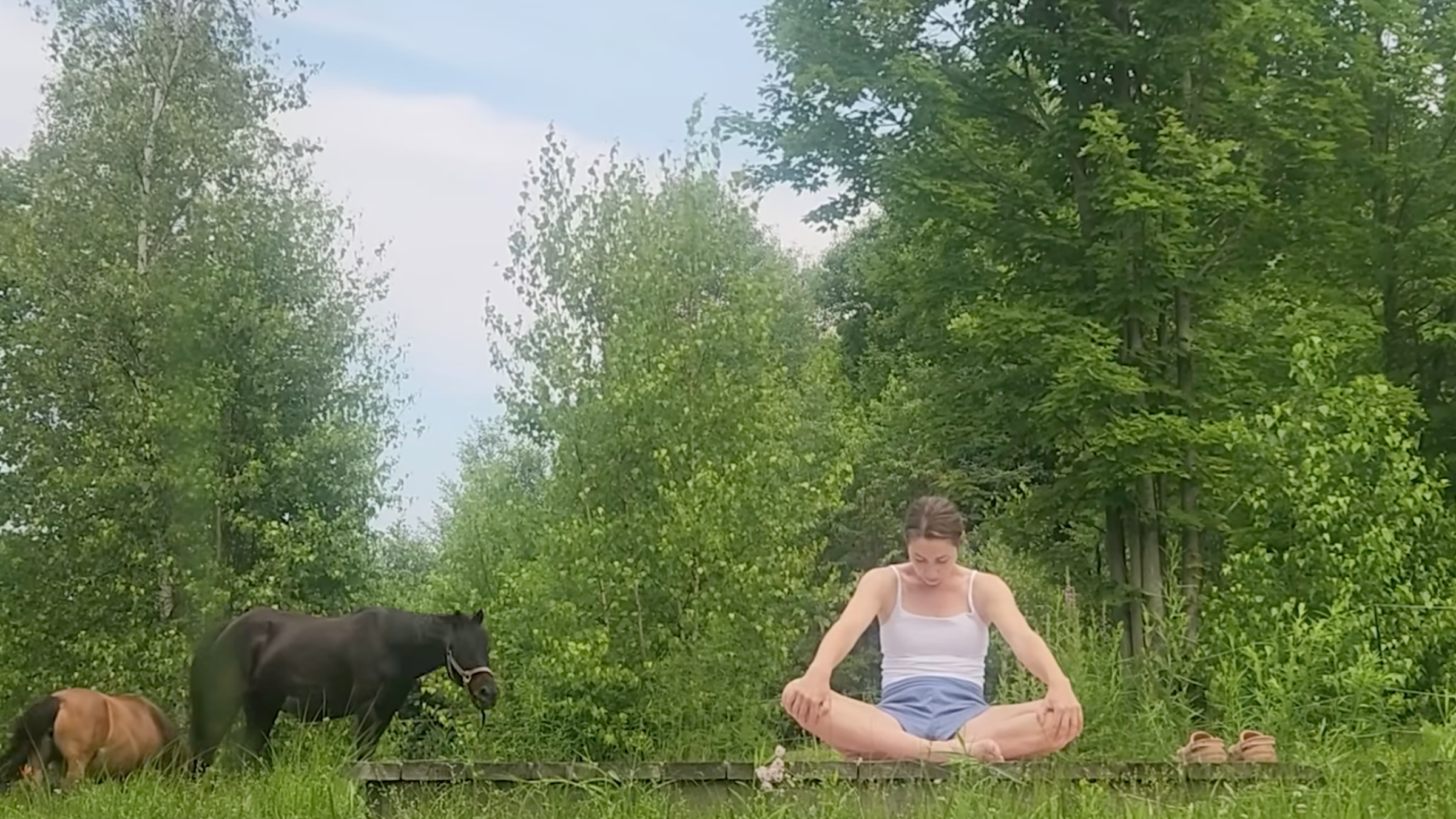 woman in seated cat yoga pose on wooden platform outside in front of trees and horses