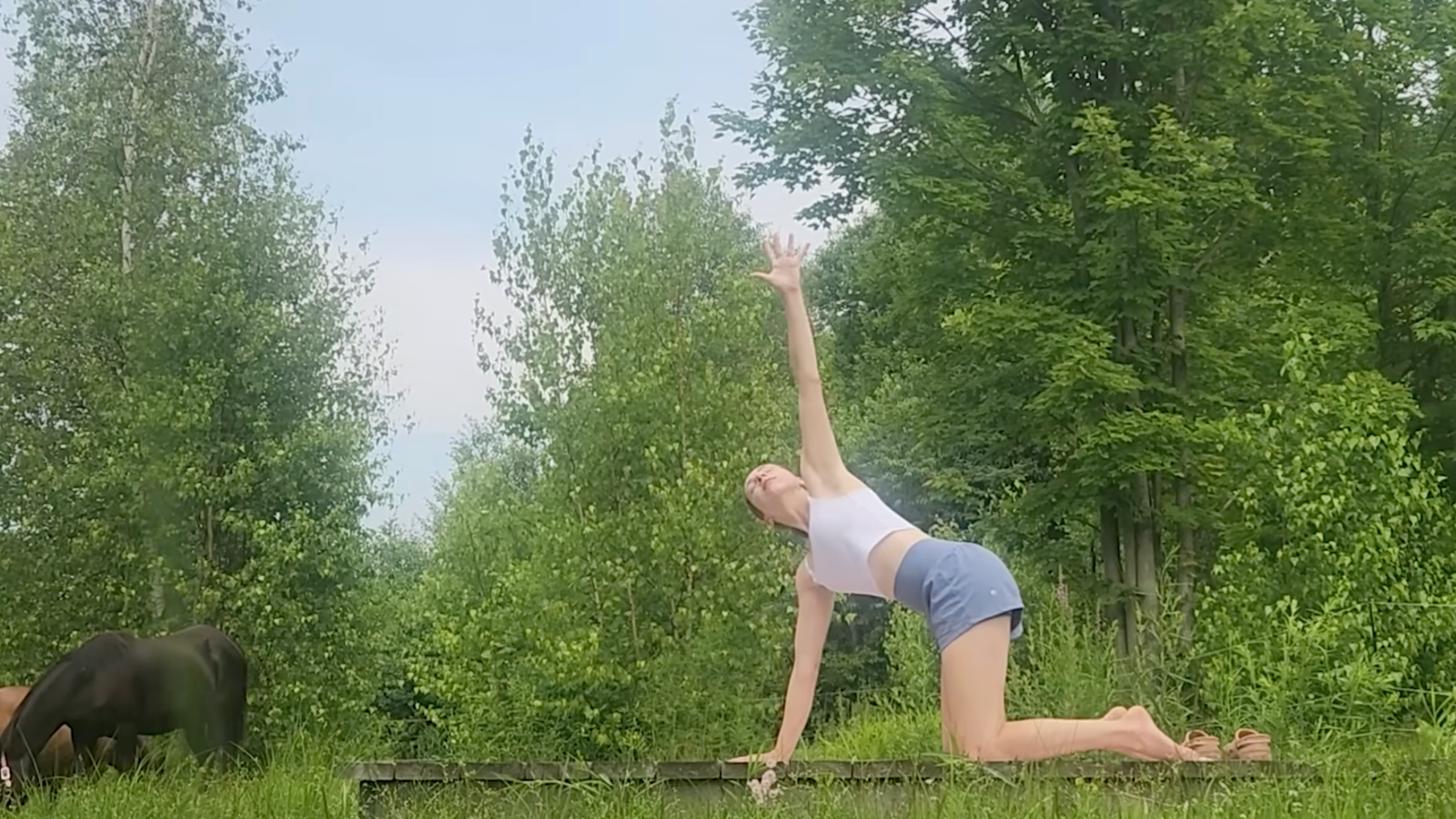woman in beginning part of thread the needle pose with left arm to the sky on wooden platform outside in front of trees and horses