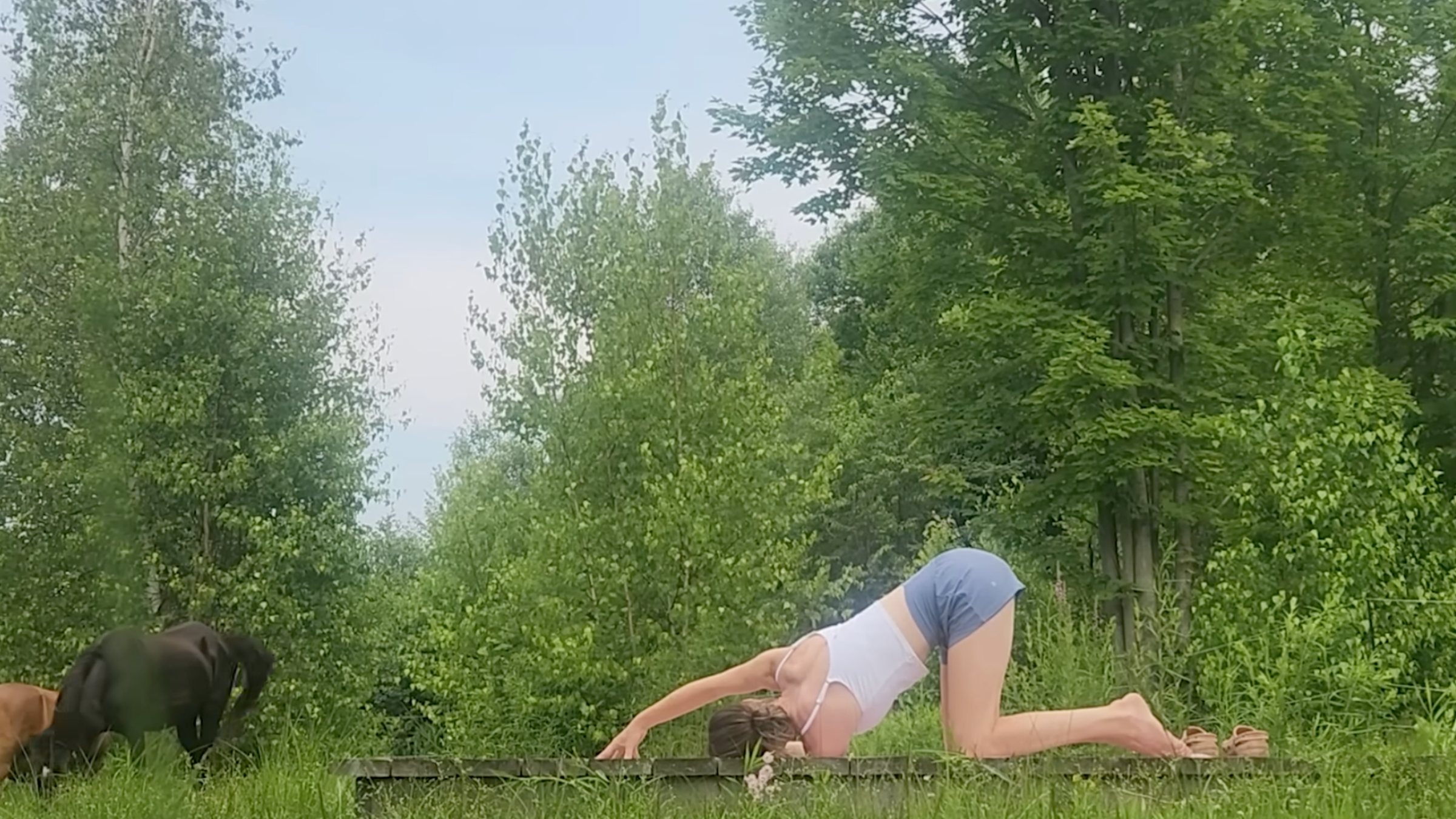 woman in thread the needle yoga pose on wooden platform outside in front of trees and horses