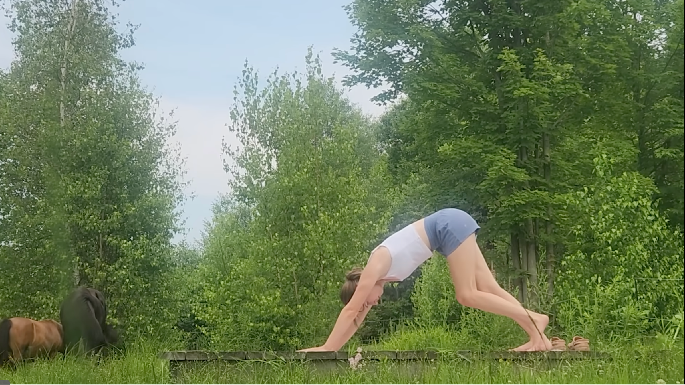 woman in downward-facing dog yoga pose outside on wooden platform with trees and horses in the background