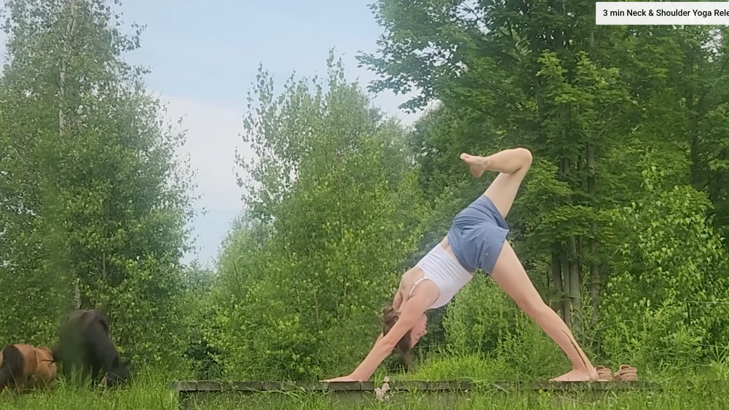 woman in three-legged dog yoga pose outside on wooden platform in front of trees and horses