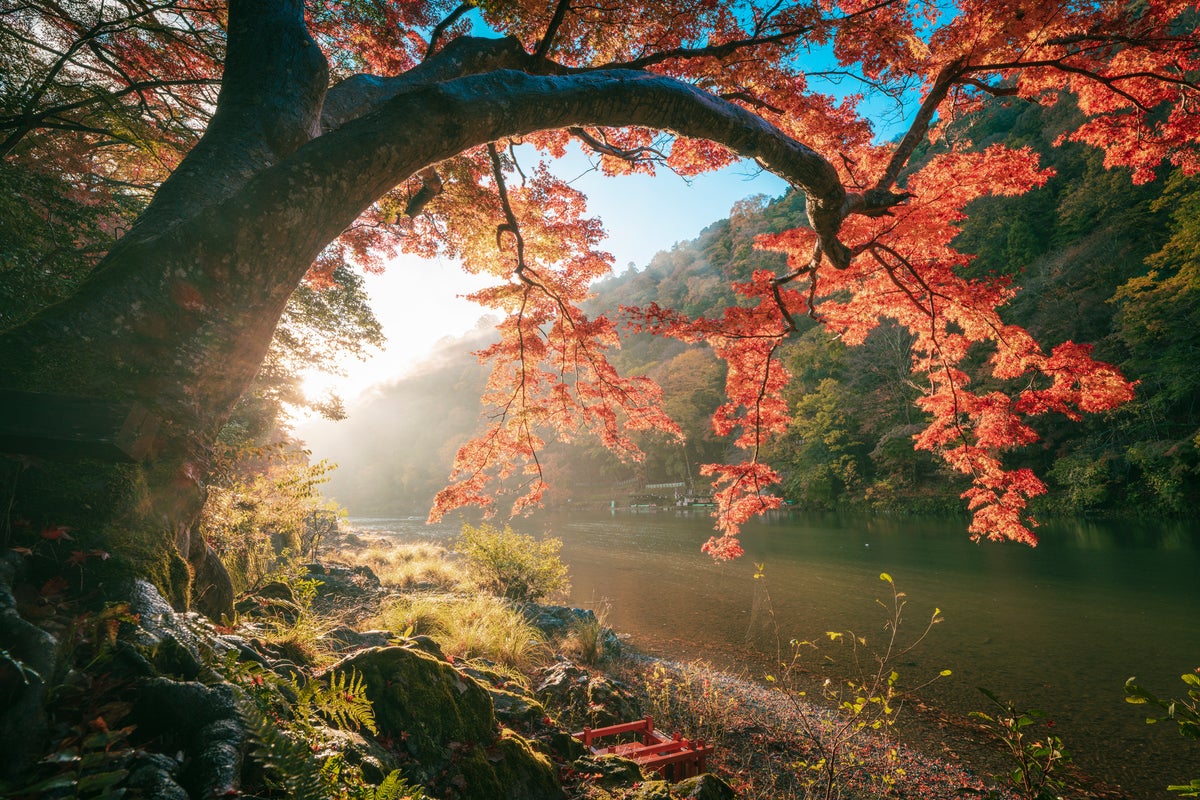 Taking My Daily Meditation Outside Changed Everything