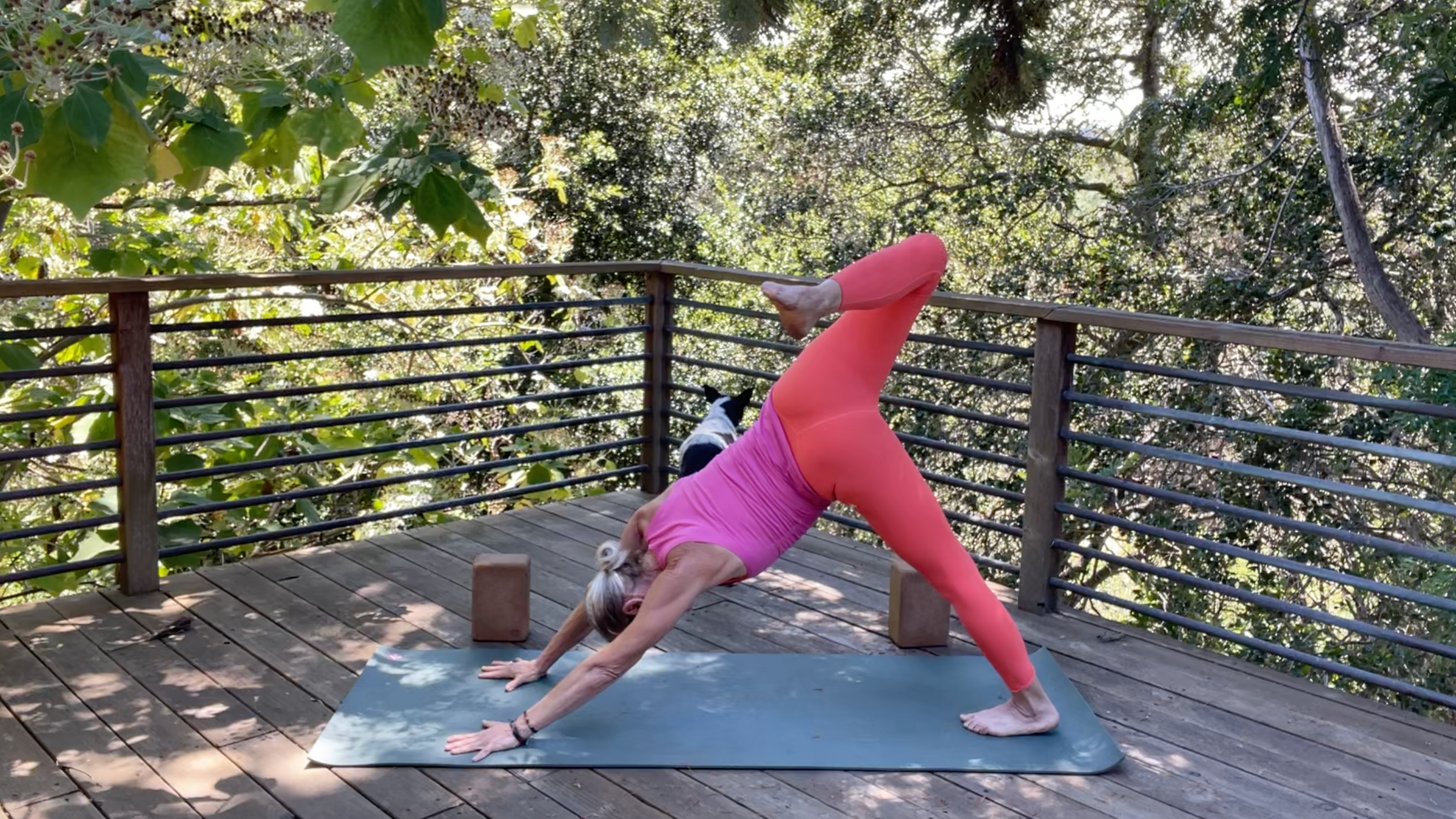 Yoga teacher Andrea Marcum in Scorpion Dog