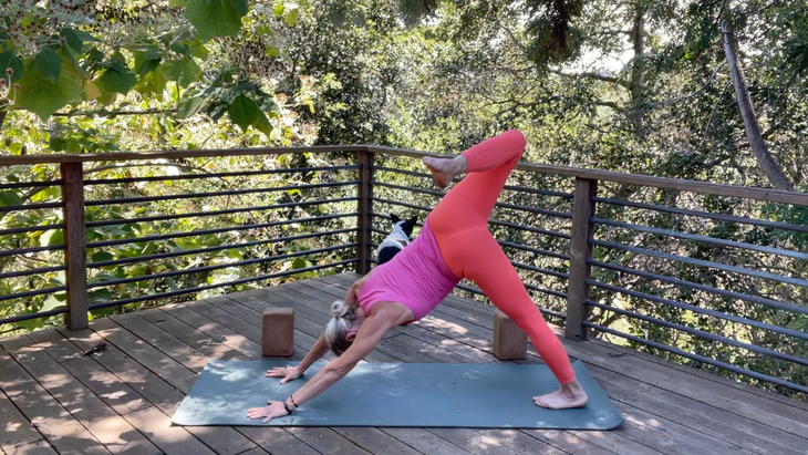 Yoga teacher Andrea Marcum in Scorpion Dog