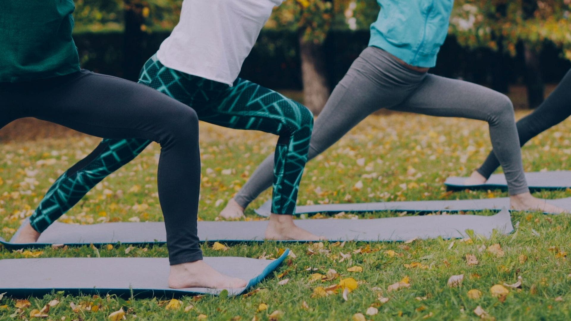 Close-up of people's knees in Warrior 2. They are practicing on yoga mats placed on green grass outside in a park.