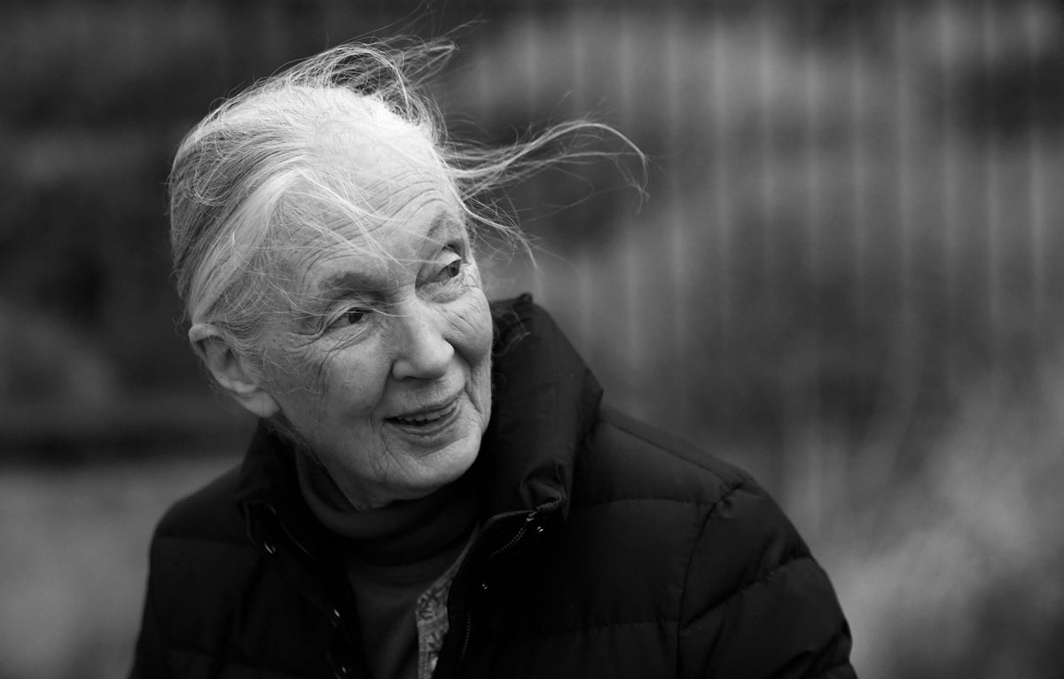 What Jane Goodall Taught Us All About Being Human