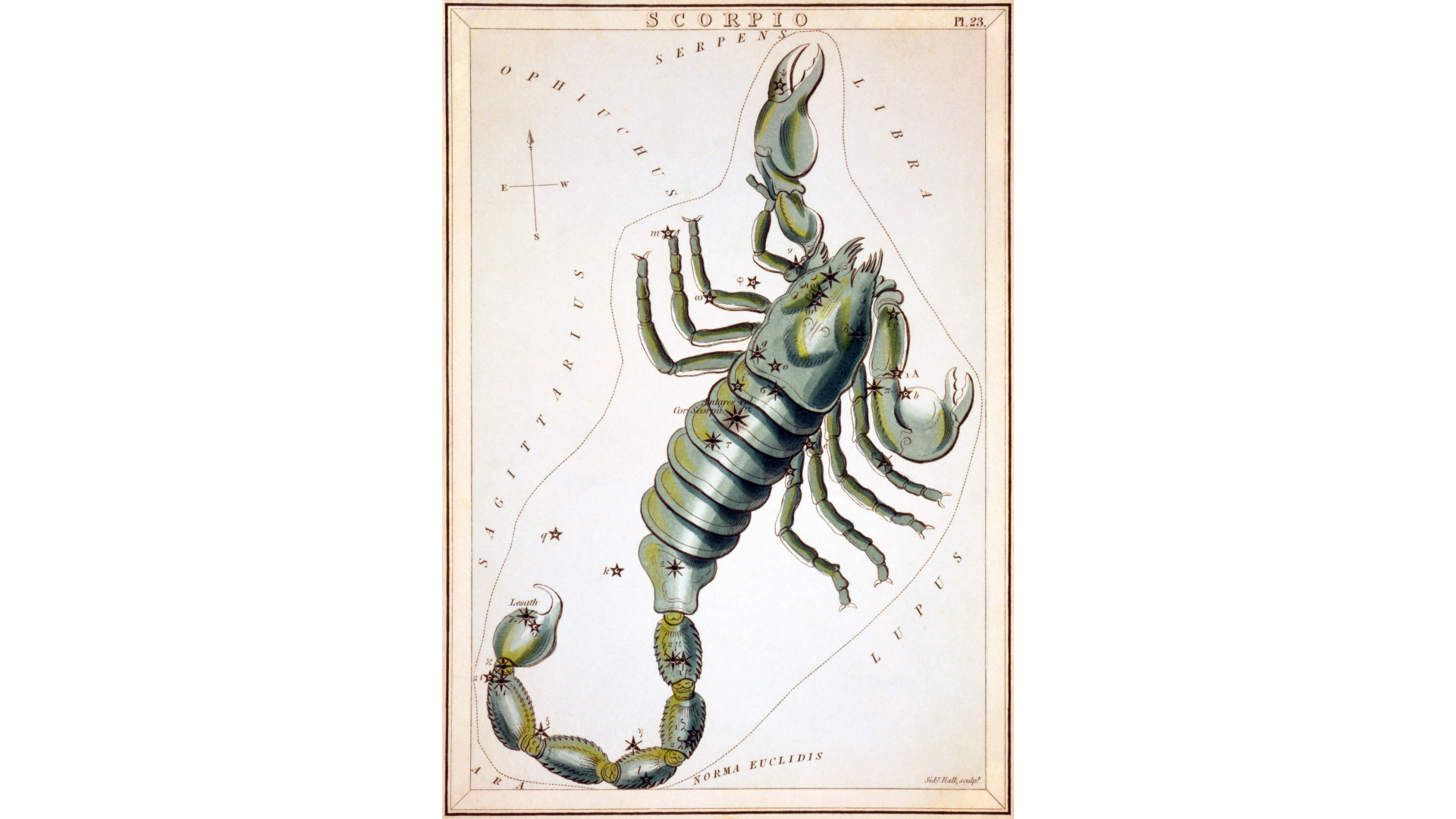 Constellation Scorpio with the illustration of a scorpion overlay