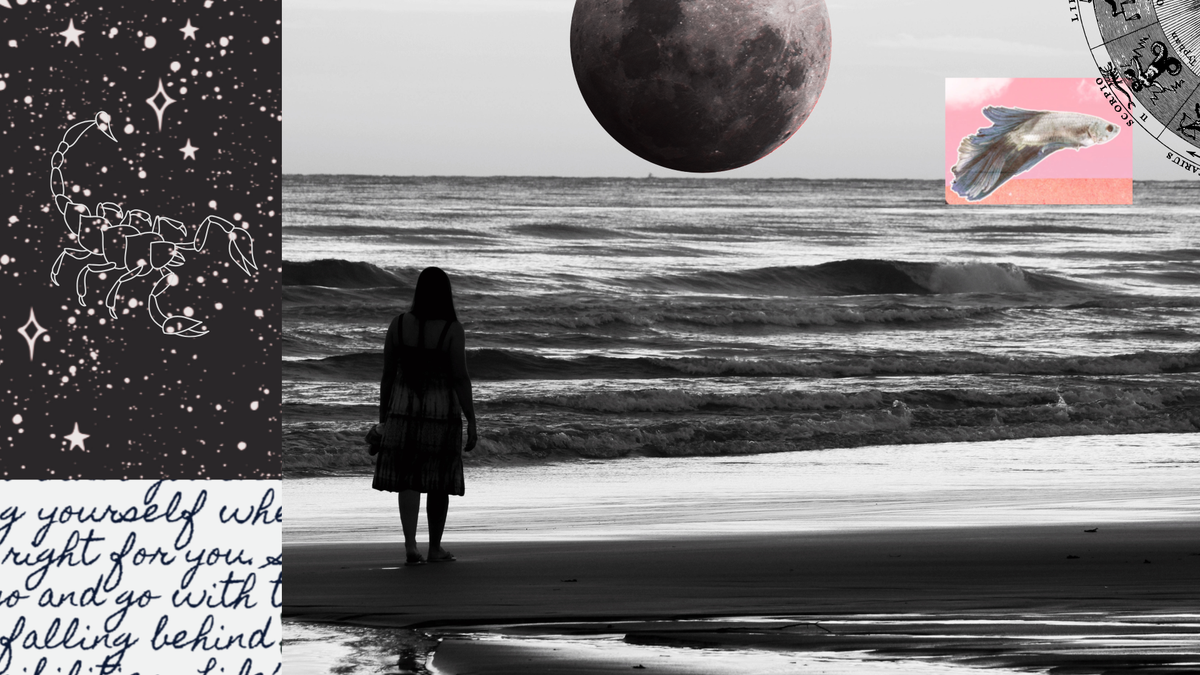 What the New Moon in Scorpio This Week Means for You