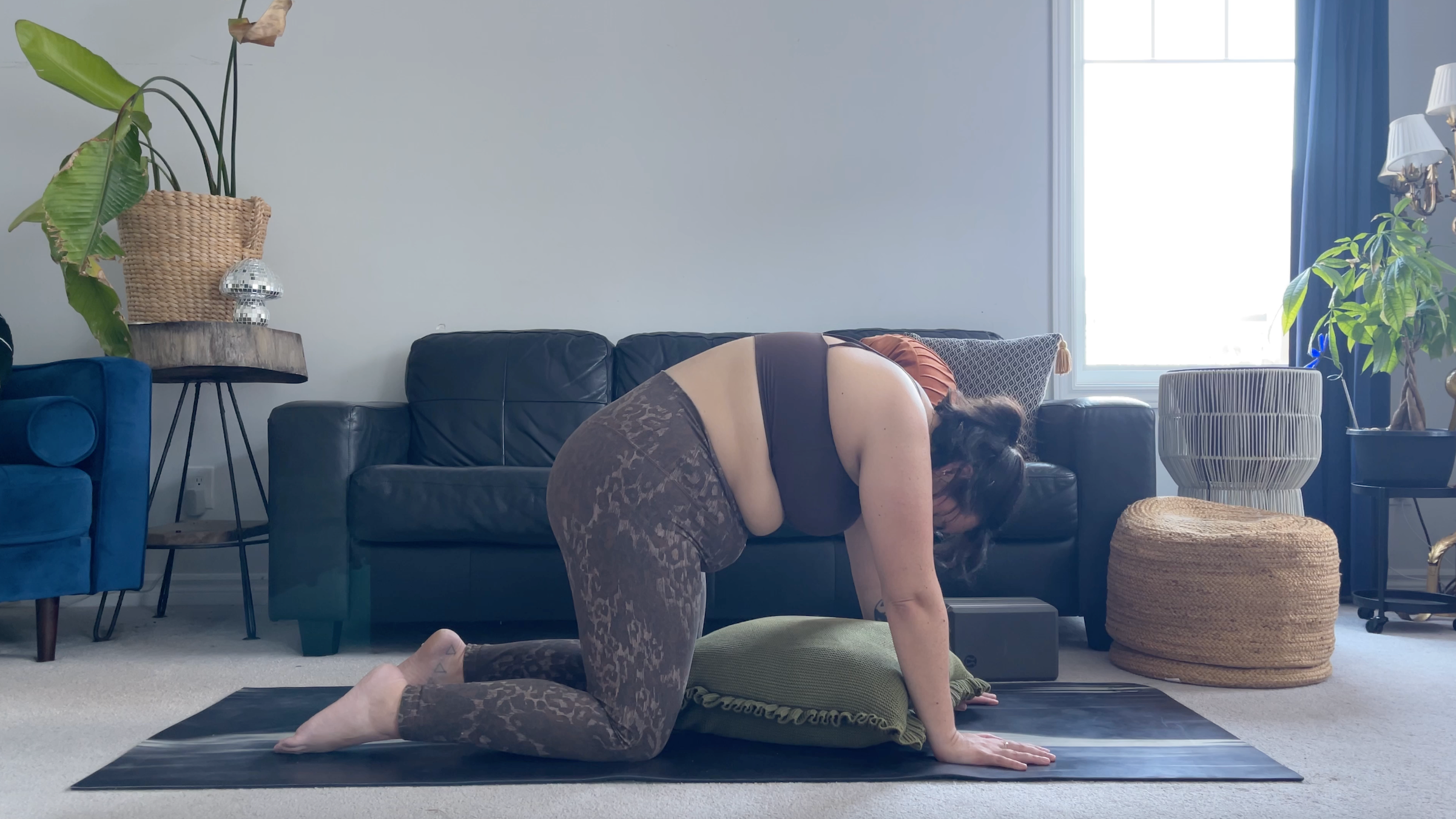 Teacher Taylor Lorenz in Cat Pose