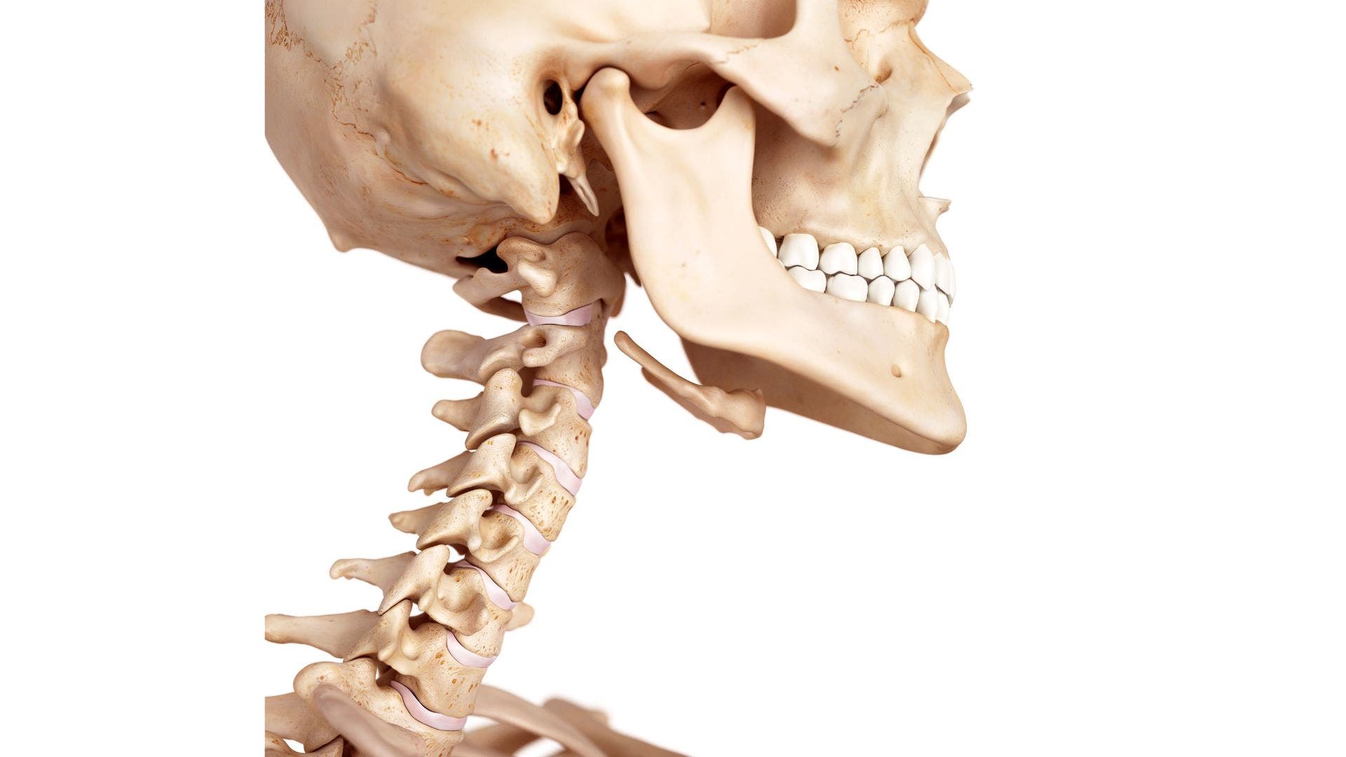 Cervical spine.