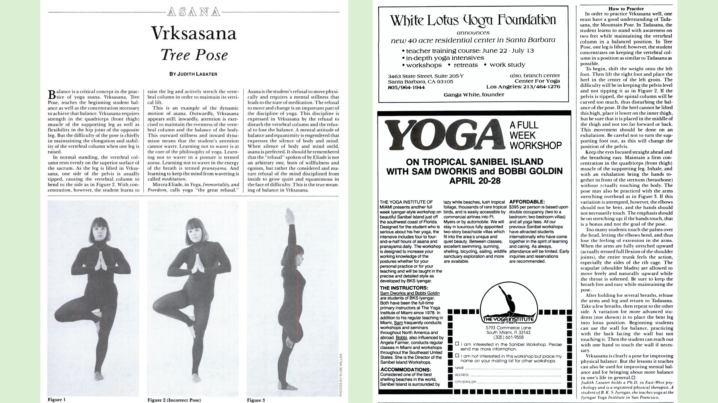 how to practice tree pose