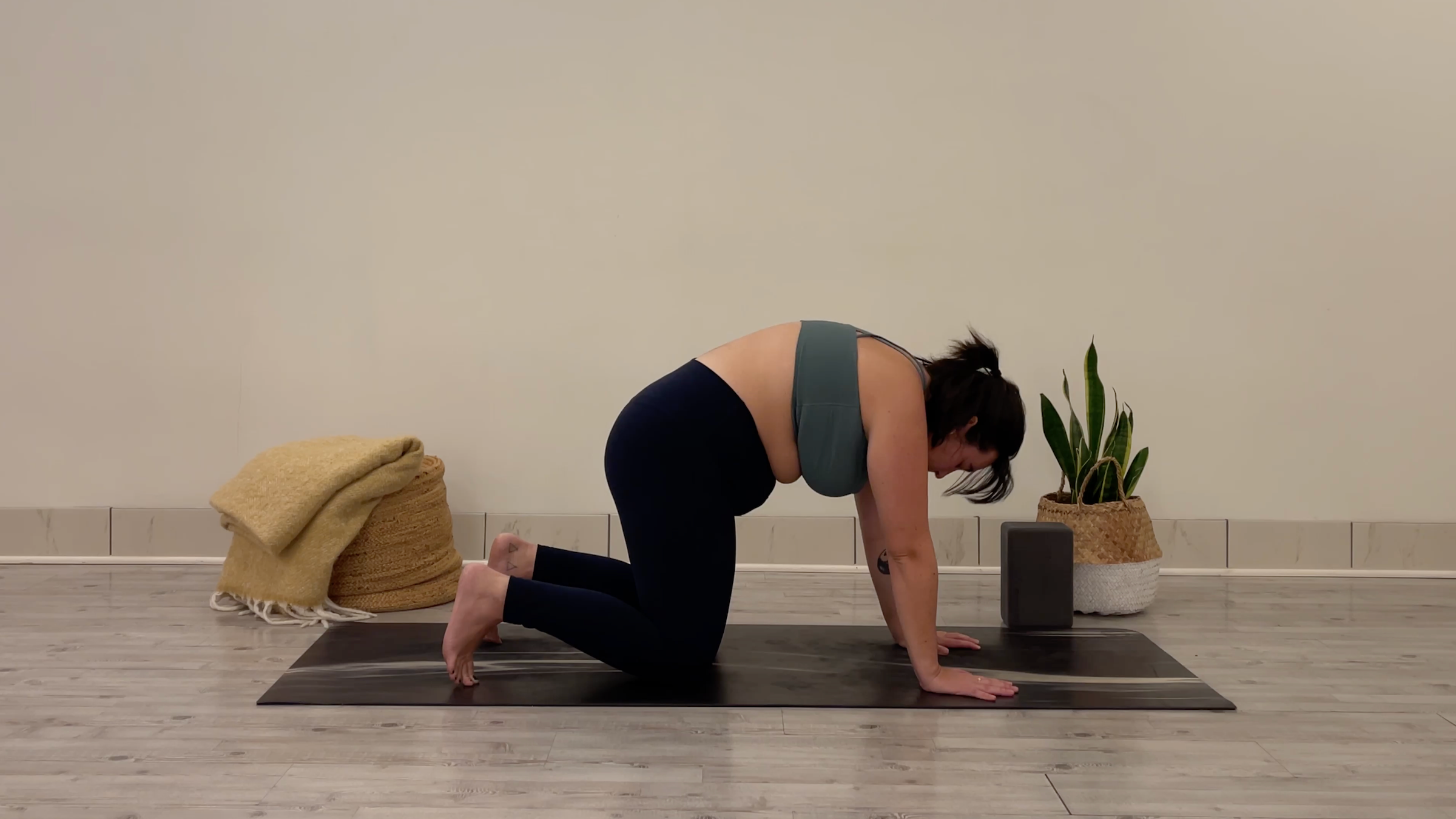 Teacher Taylor Lorenz in Cat Pose