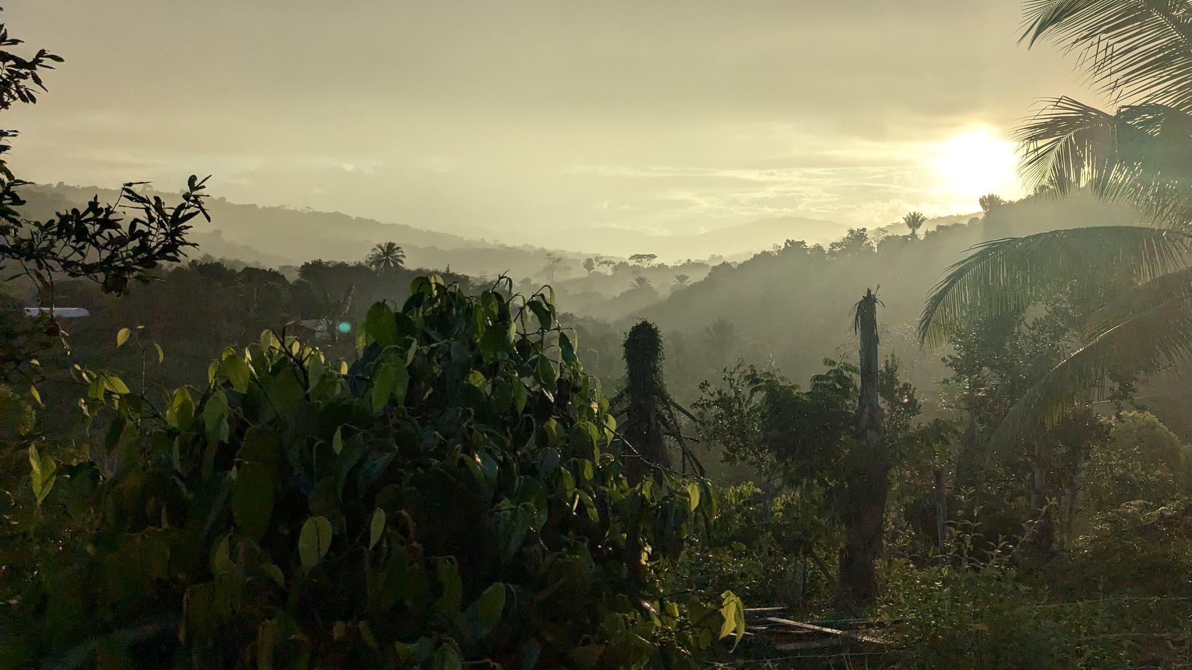 A sunset in the jungle demonstrates the benefits of natural light