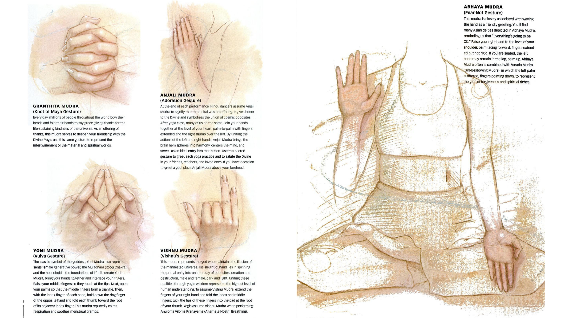 Illustrations of mudras commonly used in yoga including Vishnu and Abhaya