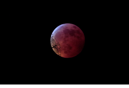 What the Full Moon in Virgo February 2024 Means for You