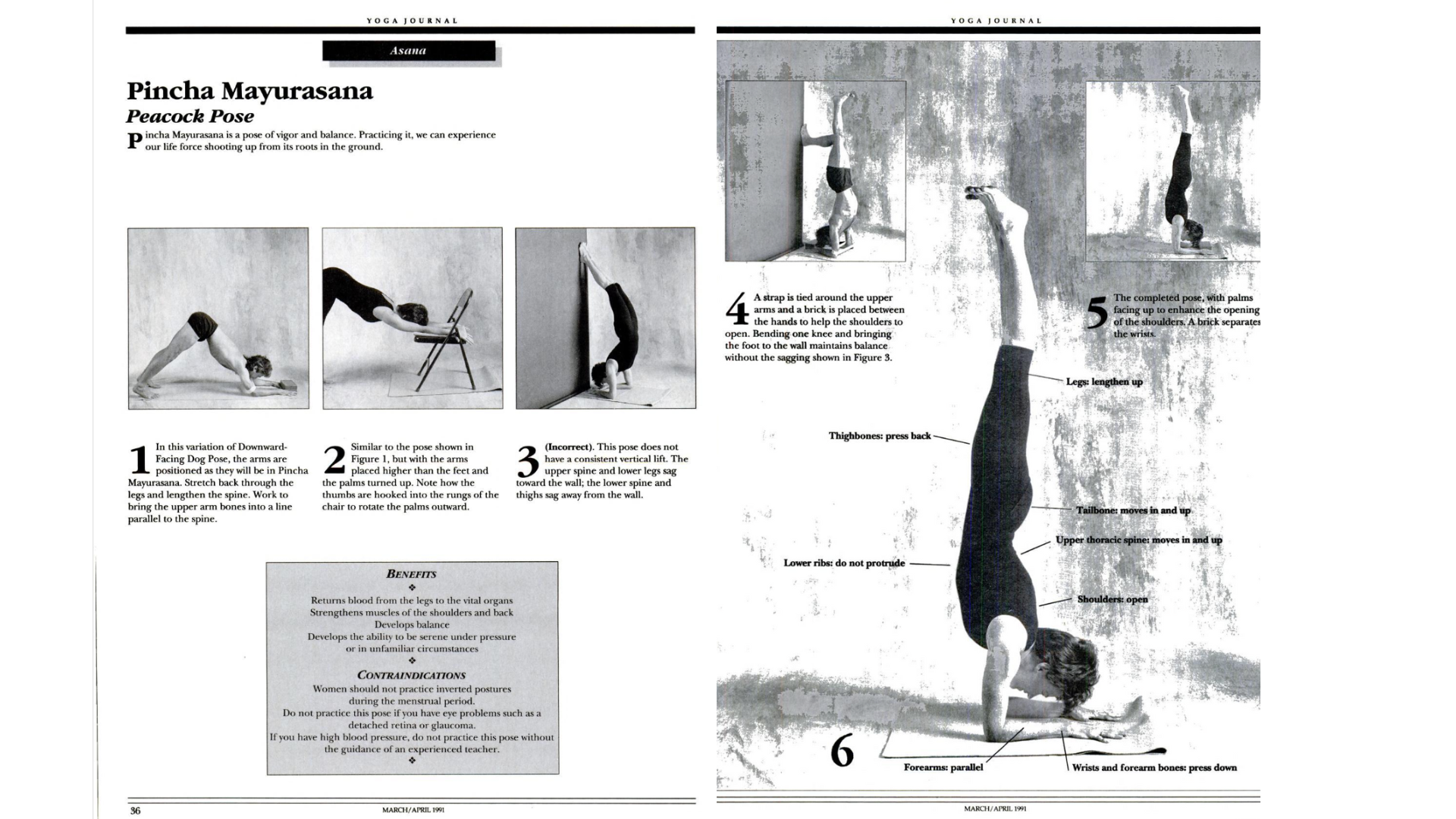 Black and white magazine spread from an old issue of Yoga Journal dedicated to Pincha Mayurasana