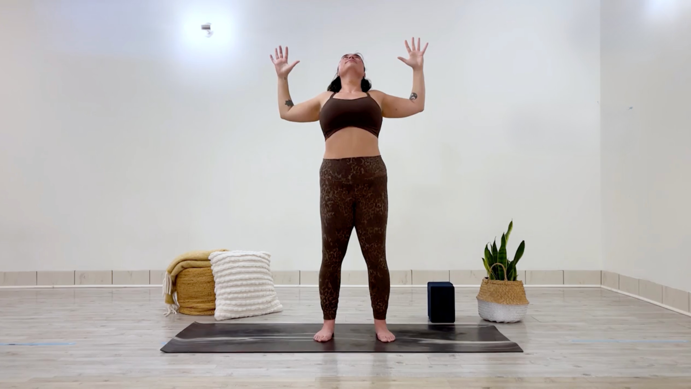 Taylor Lorenz in Cactus Arms