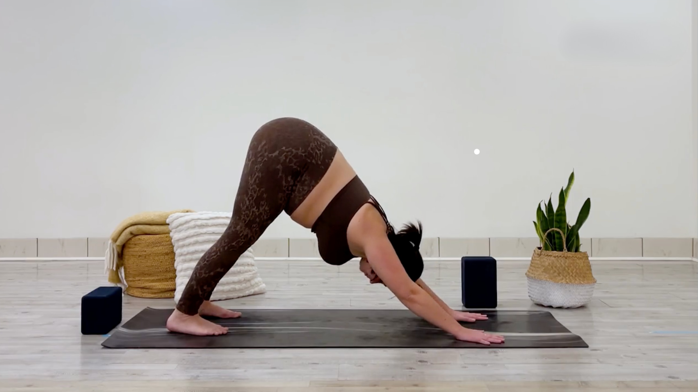 Taylor Lorenz in Downward-Facing Dog