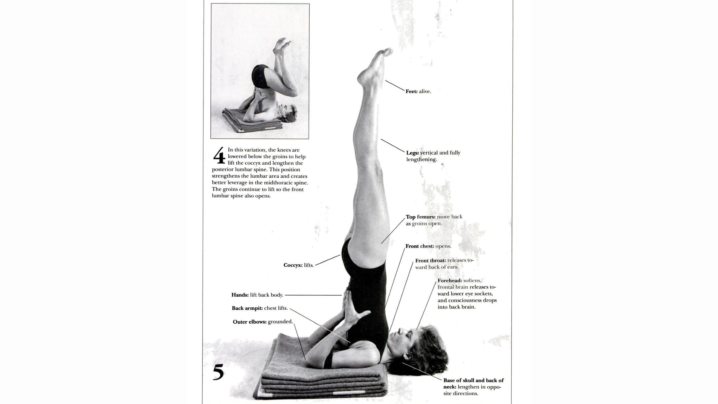 A YJ article about Shoulderstand featuring pictures of a woman in the pose