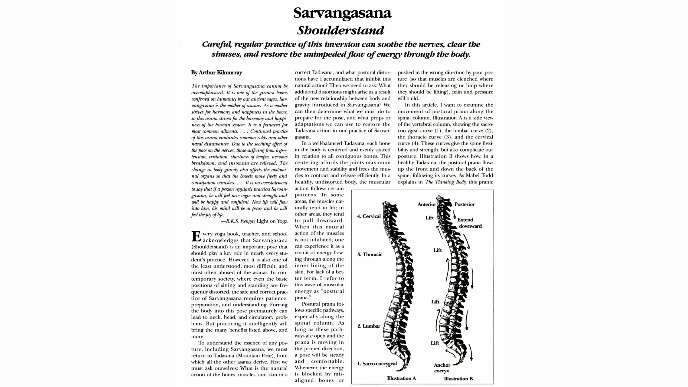 A YJ article about Shoulderstand featuring a diagram of the spinal column