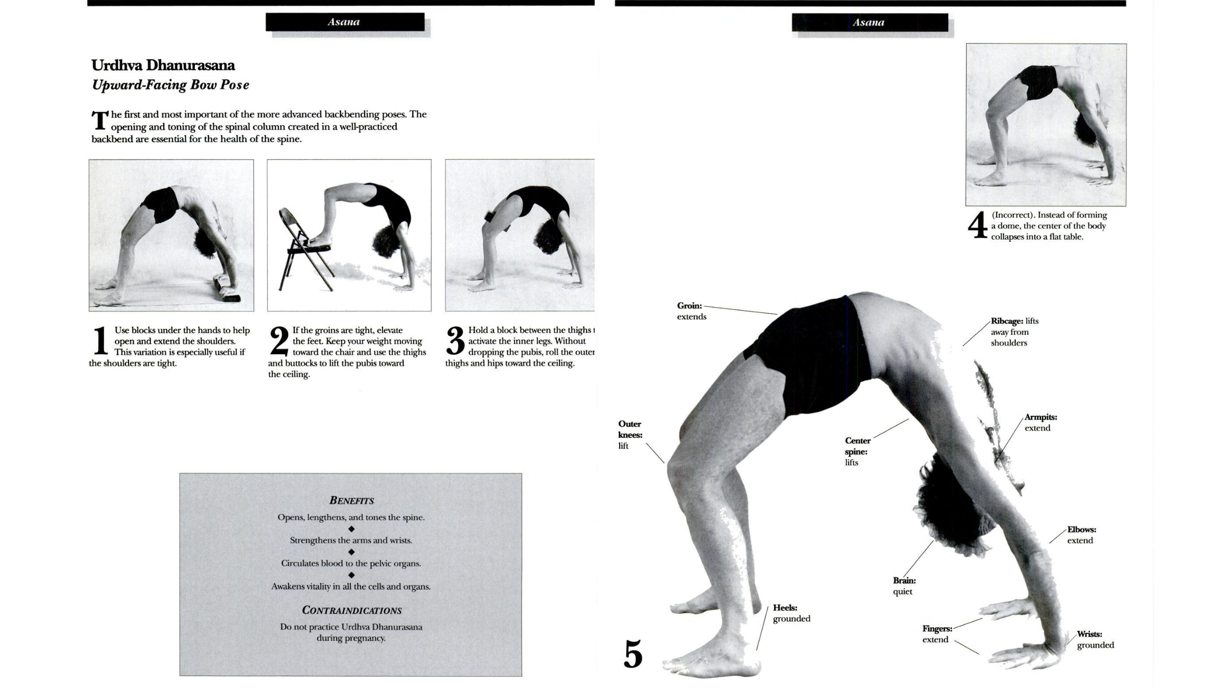 A diagram breaking down Wheel Pose