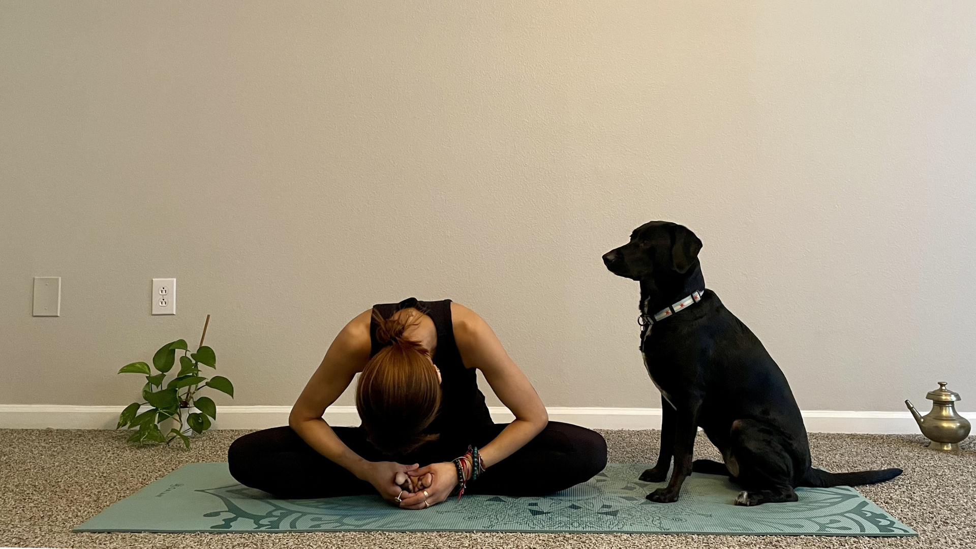 Woman sitting on a yoga mat leaning slightly forward