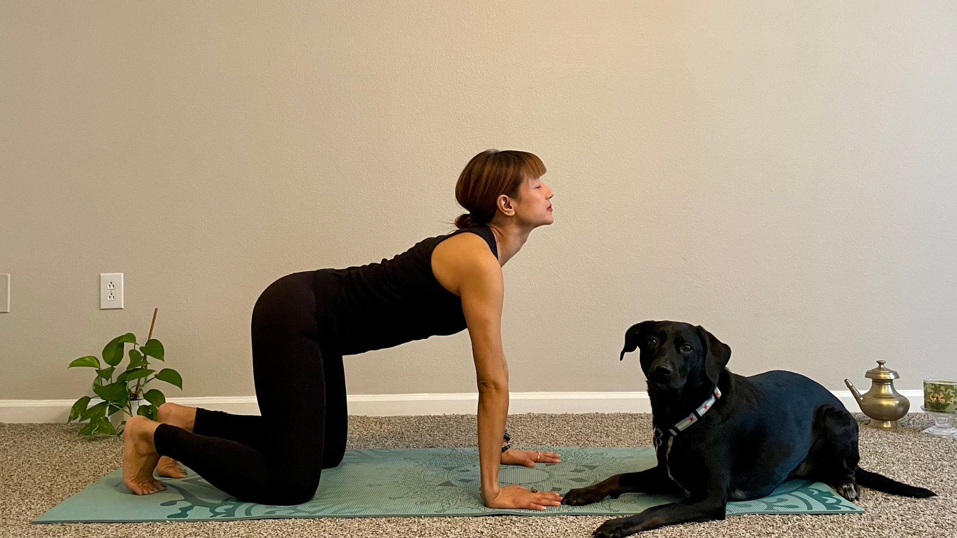 Woman on hands and knees on a mat arching her back