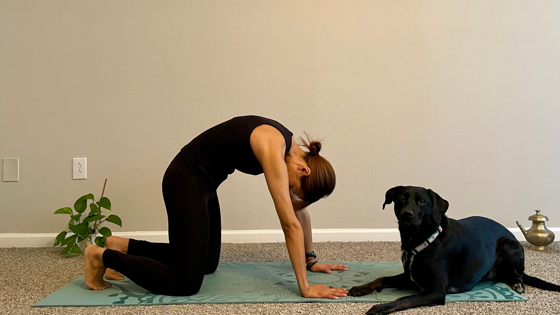 Woman kneeling on a yoga mat rounding her back and tucking her chin toward her chest