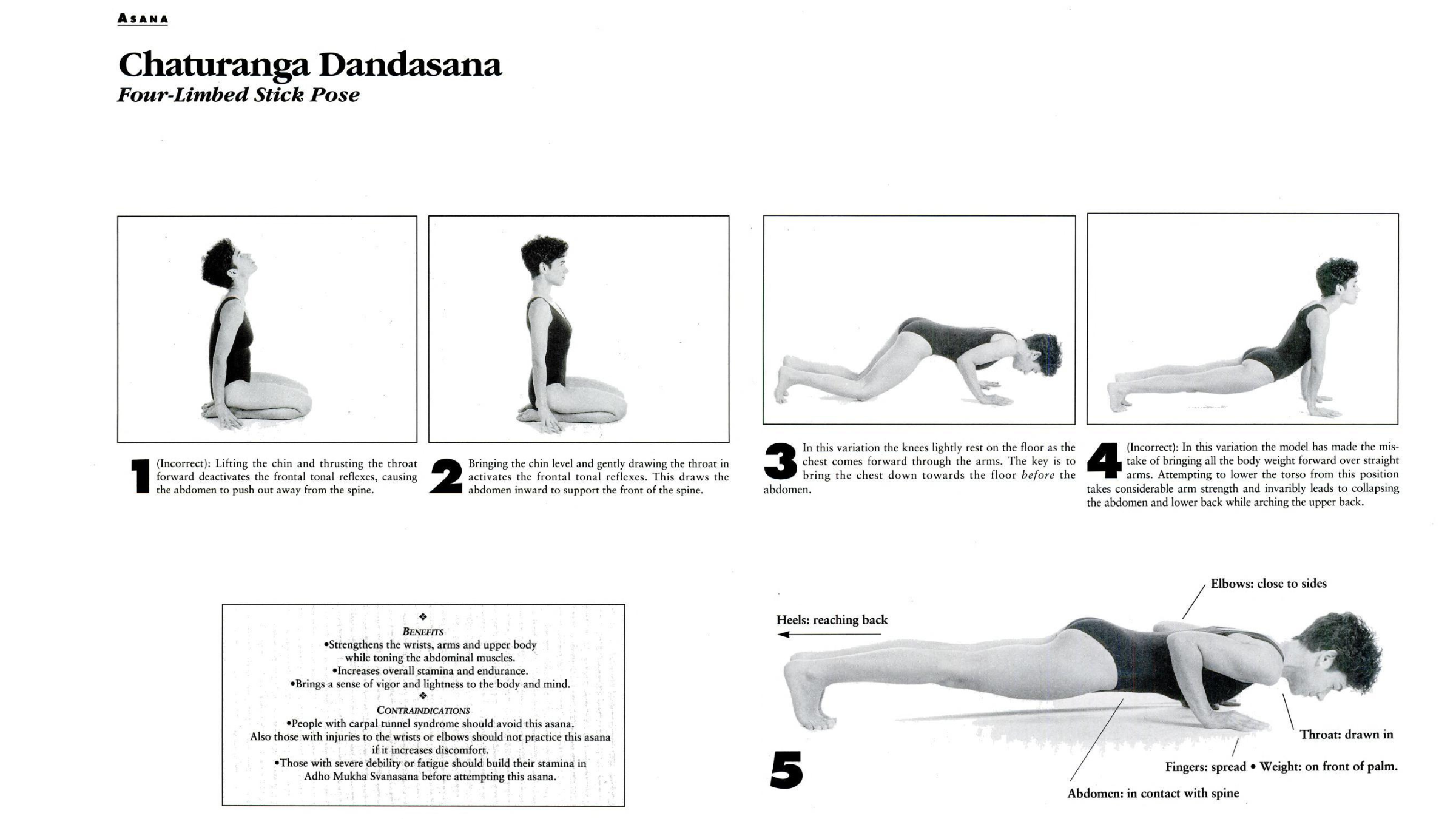 A diagram depicting a woman moving through Chaturanga