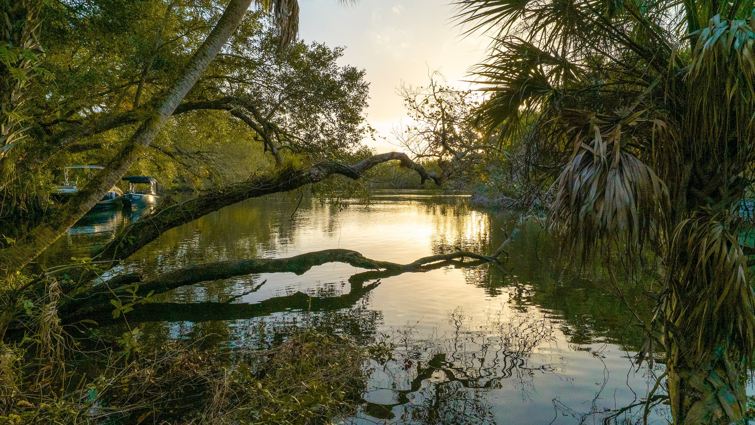 A lagoon at Wanderwild