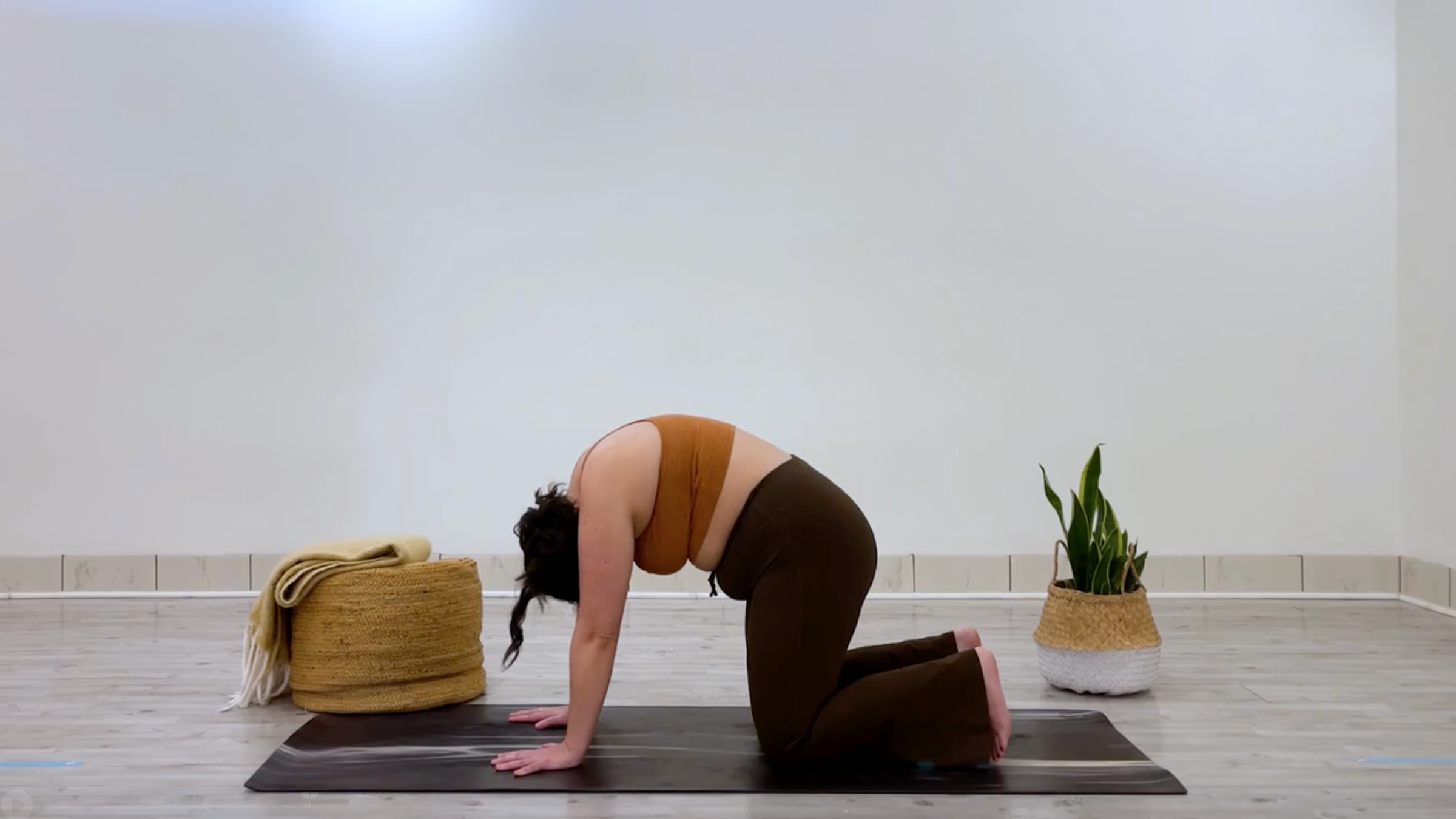 Teacher Taylor Lorenz in Cat Pose