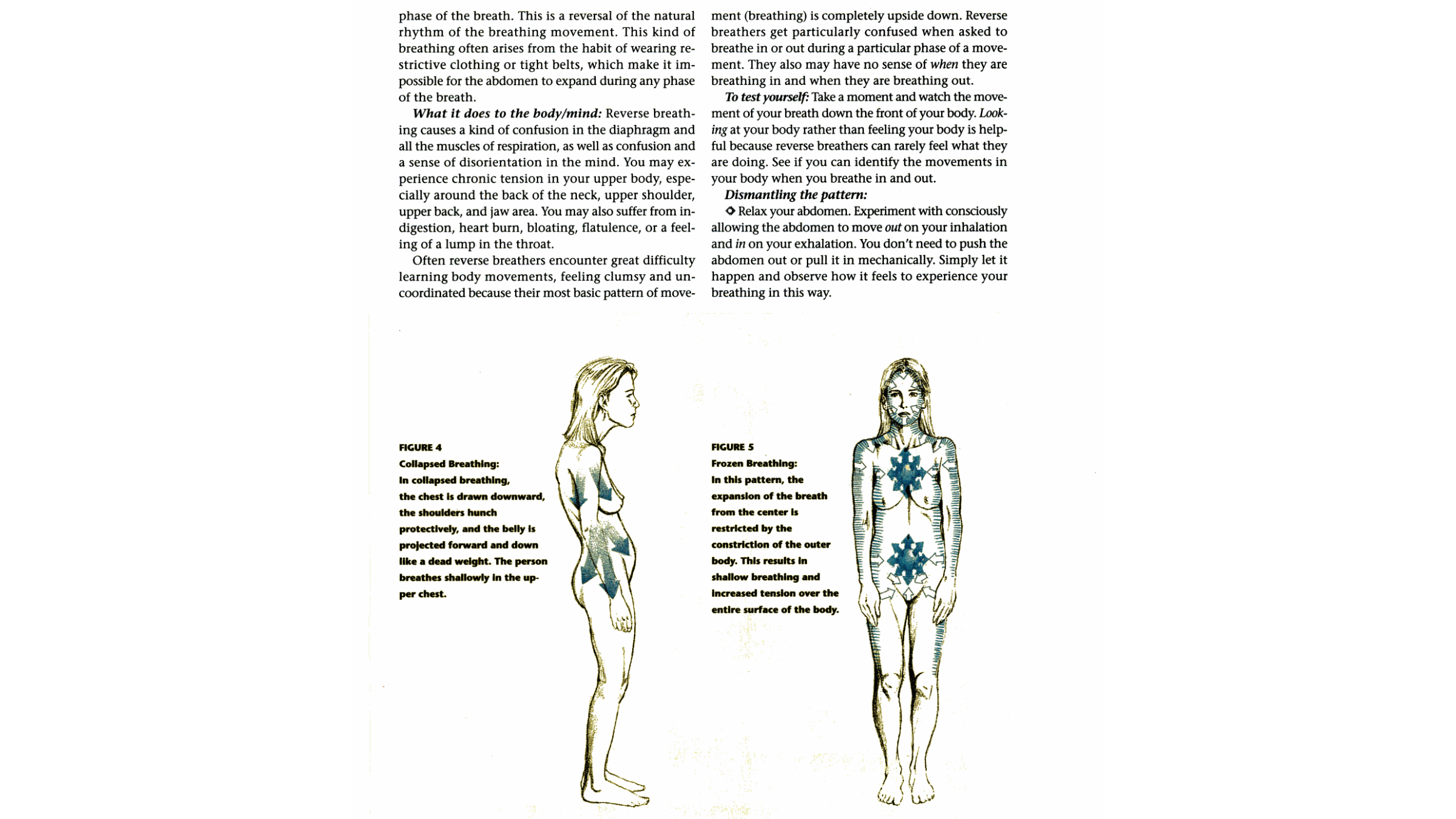 Diagrams denoting how to breath from an archival issue of Yoga Journal