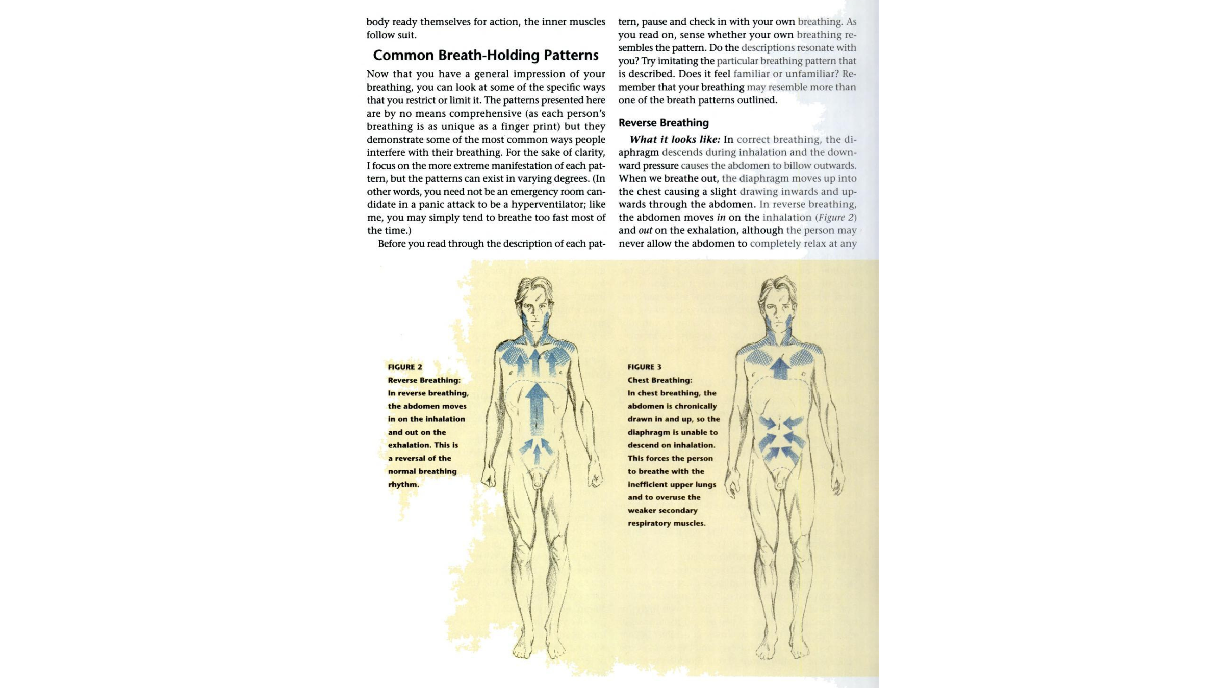 Diagrams denoting how to breath from an archival issue of Yoga Journal