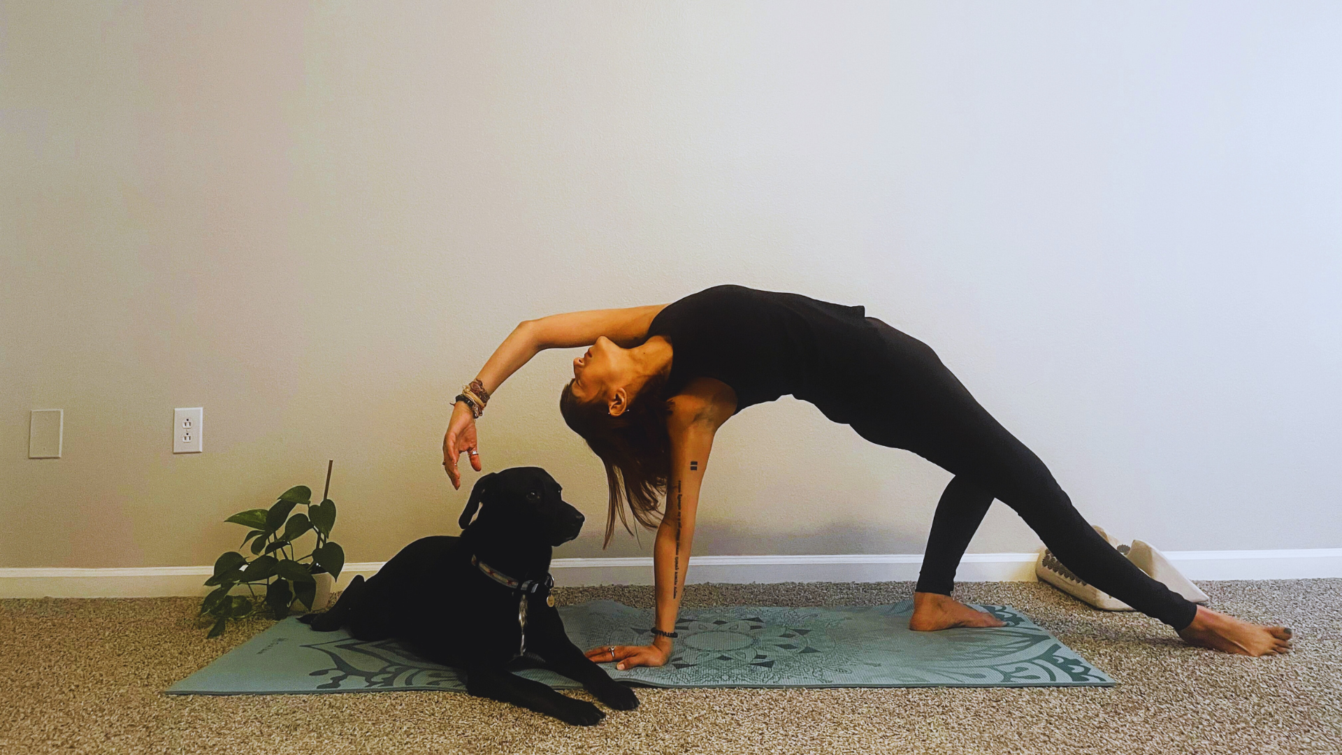Woman practicing Wild Thing, a yoga for lethargy pose, on a mat alongside her dog