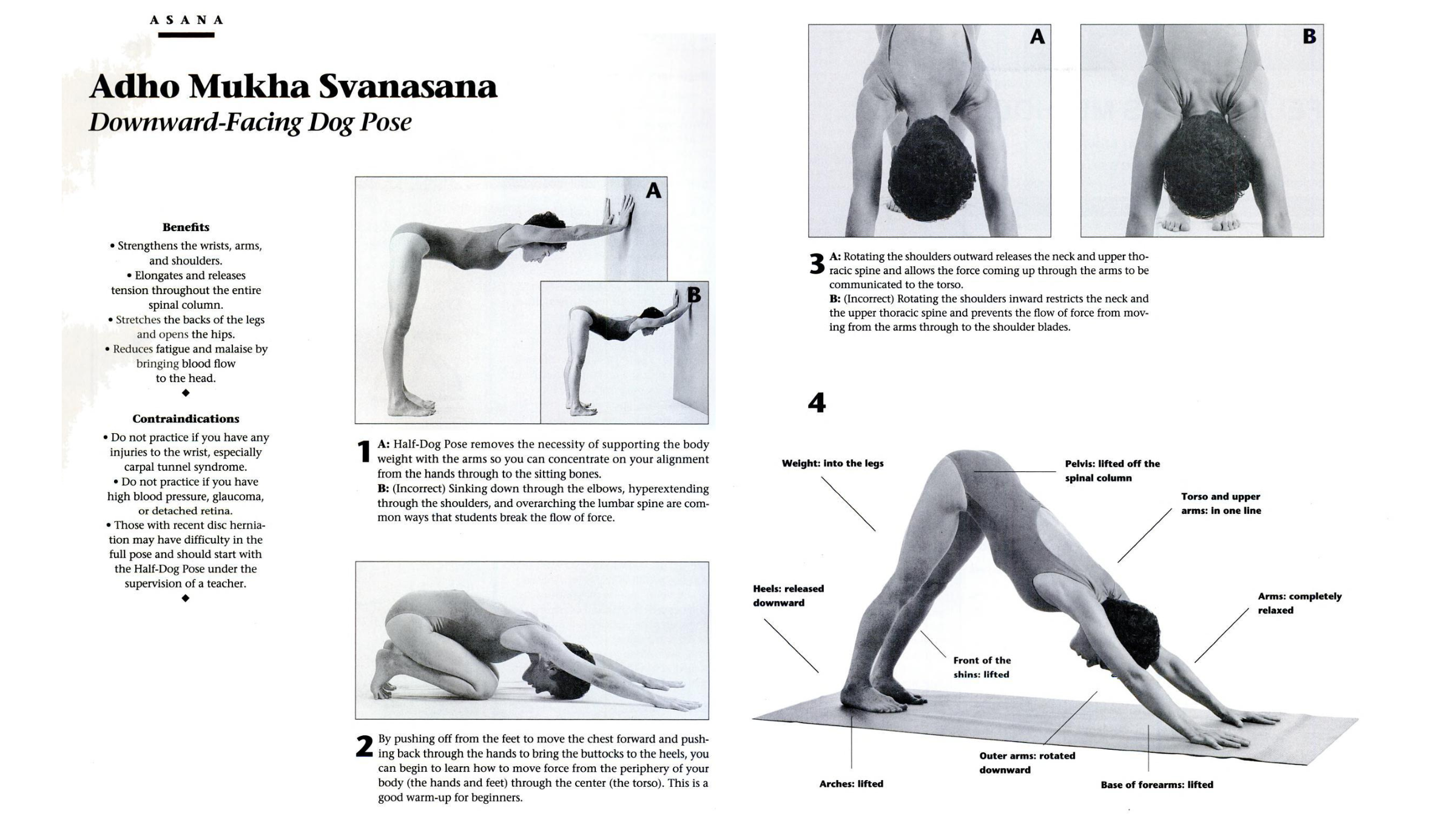 Diagrams featuring a woman in Downward-Facing Dog