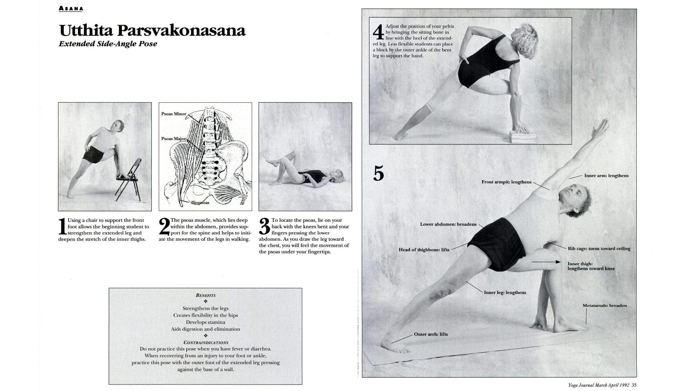 Extended Side-Angle Pose Relies on Your Psoas for Alignment