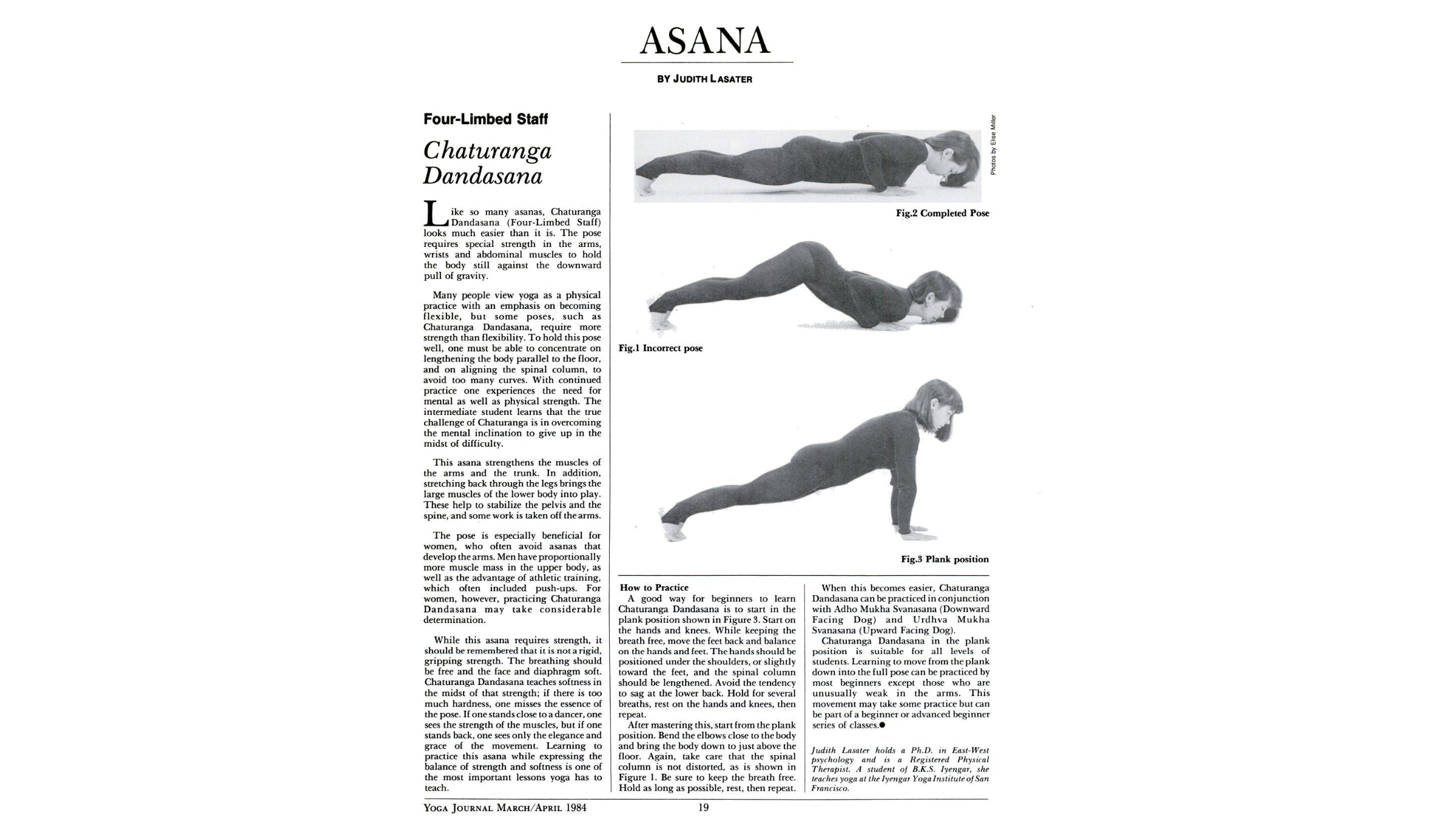 A diagram of a woman in Chaturanga Dandasana