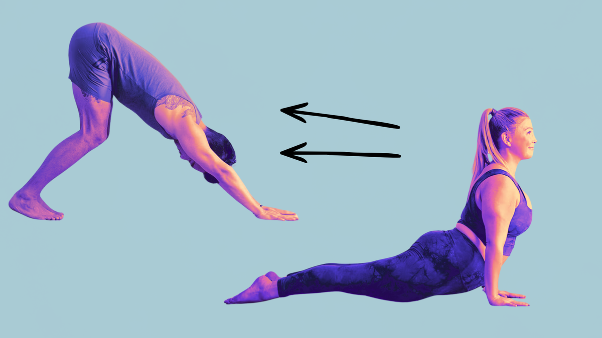 4 Quick Ways to Transition From Up Dog to Down Dog