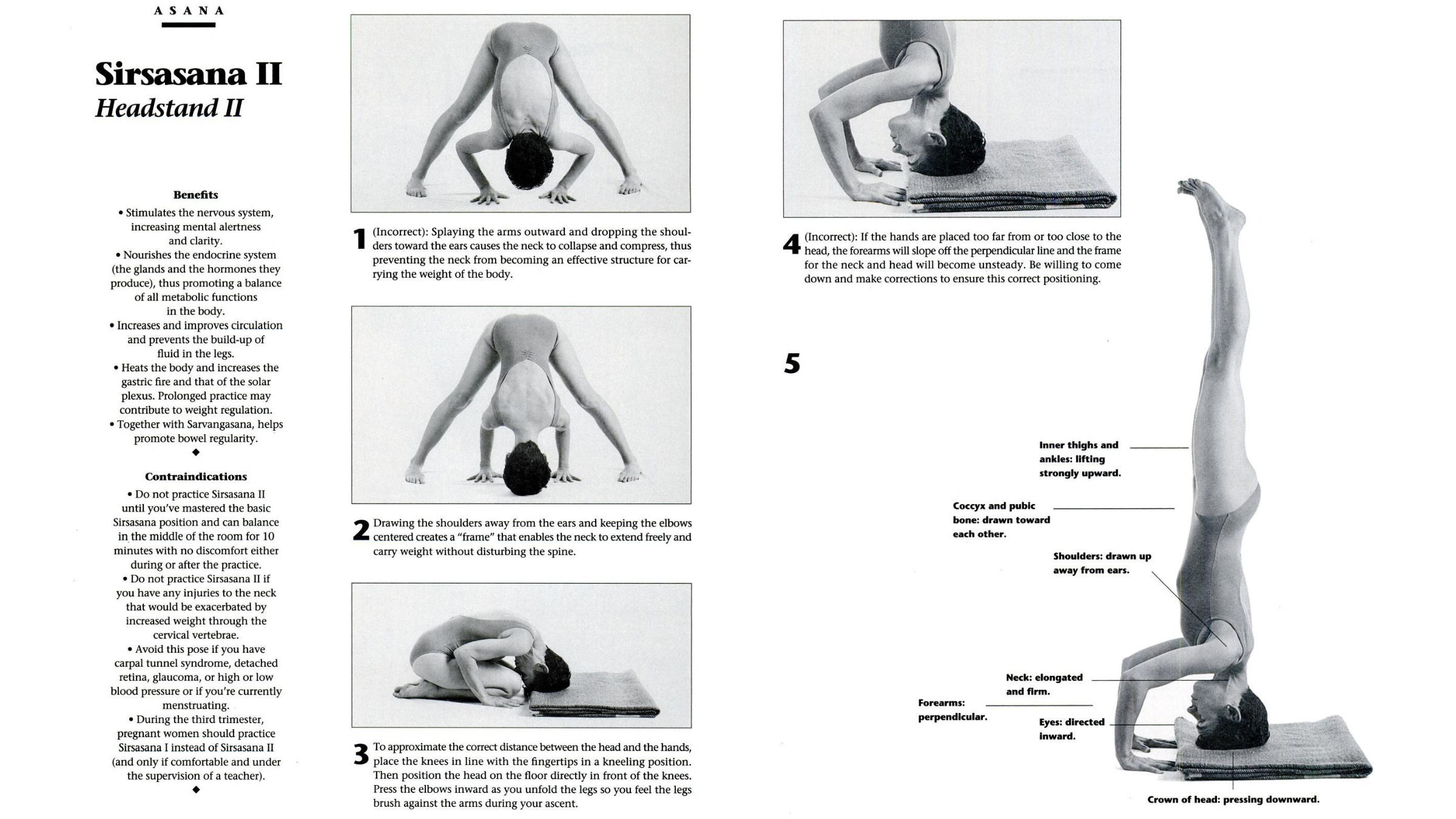 Diagrams of a person in Tripod Headstand