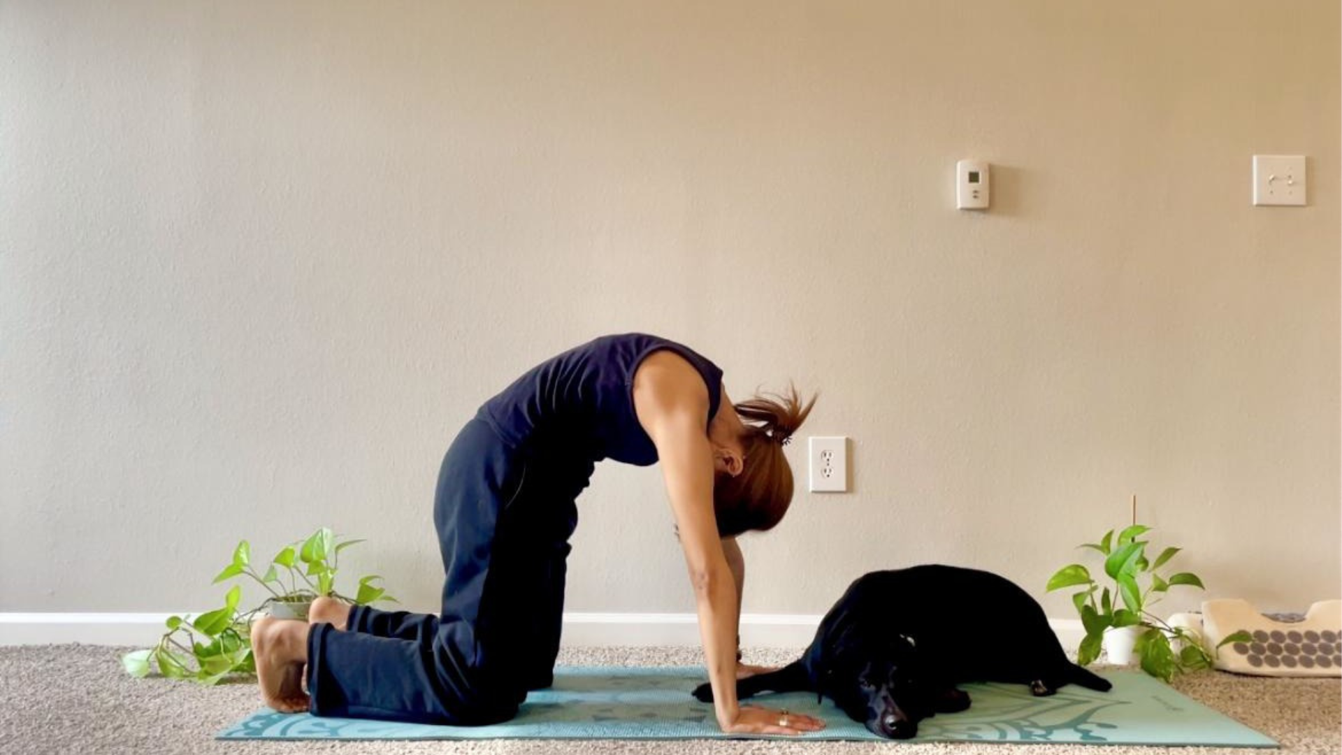 Woman on hands and knees rounding her back and releasing her neck and head toward the mat in Cat Pose