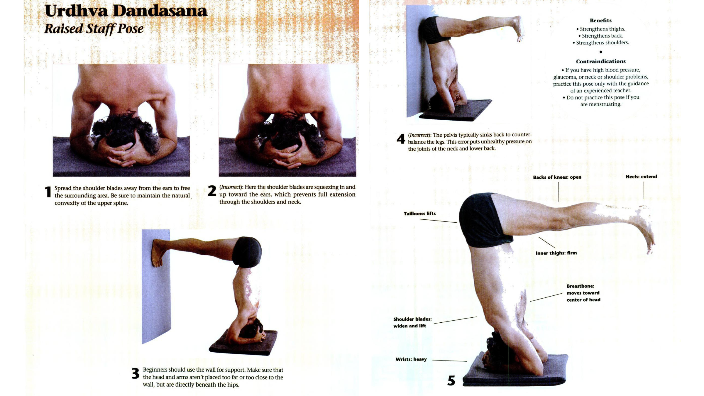 Diagrams featuring a yogi in headstand variations