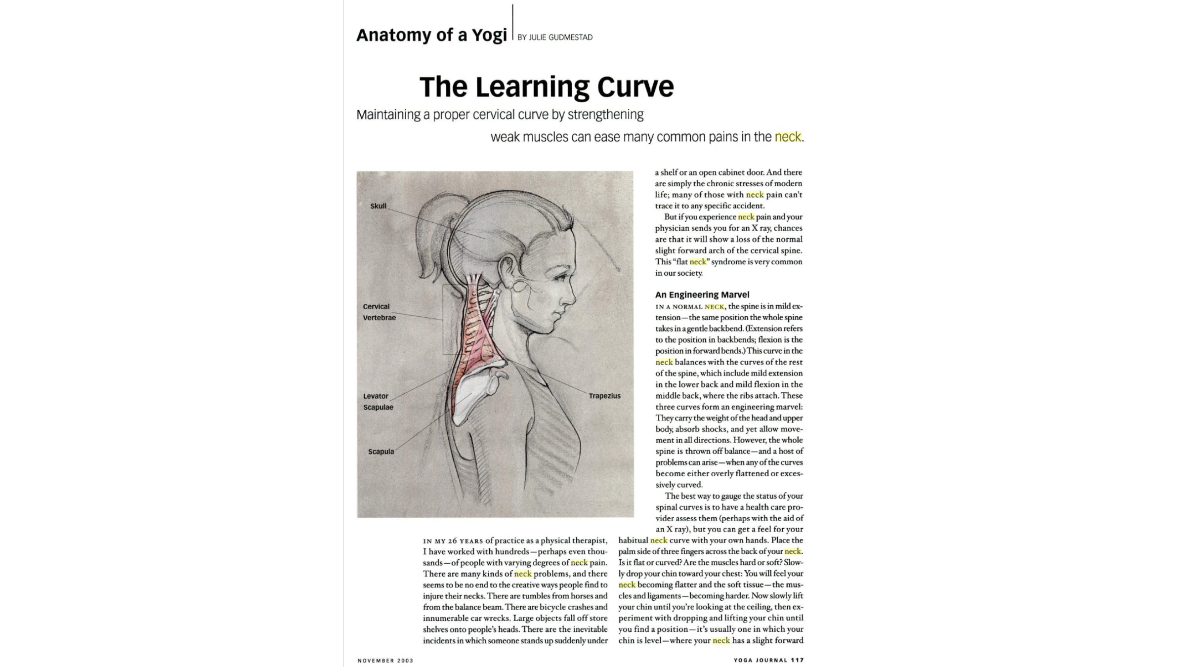 Diagram of the cervical spine.