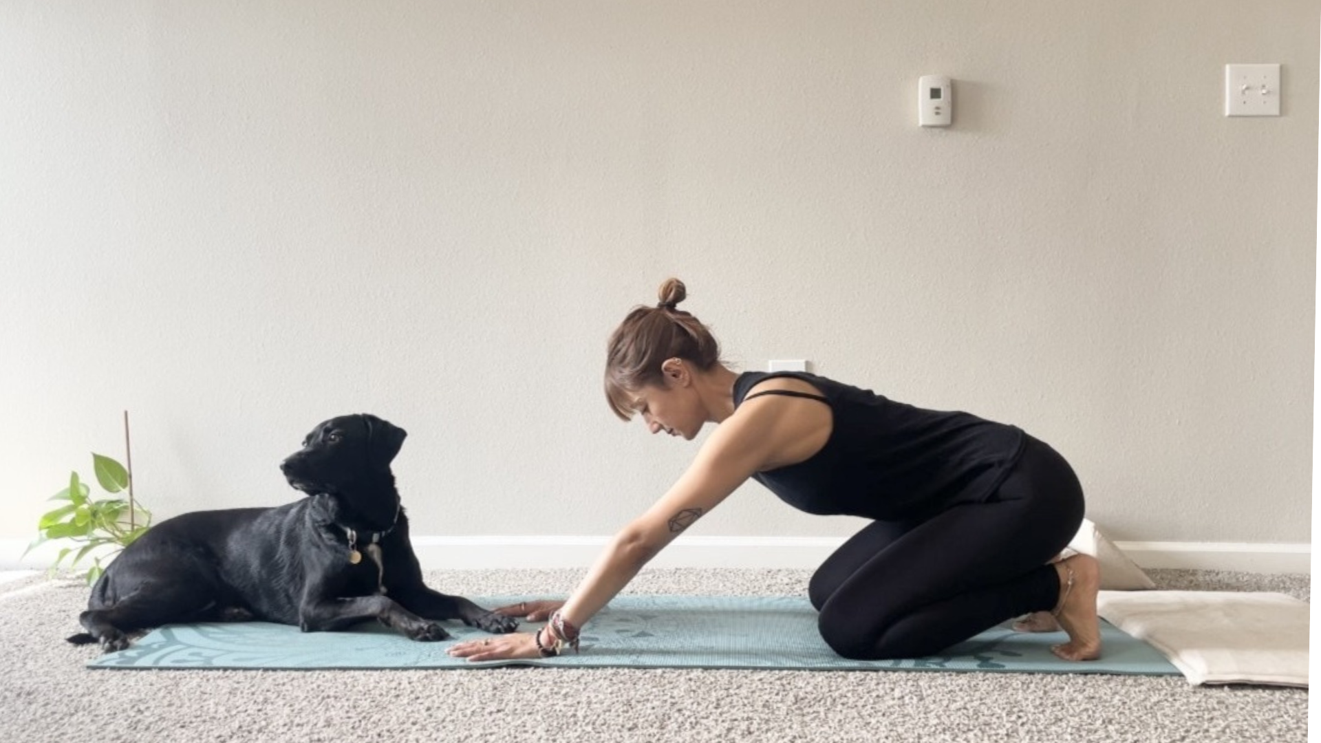 5-Minute Wrist Strengthening Exercises Every Screen-User Needs